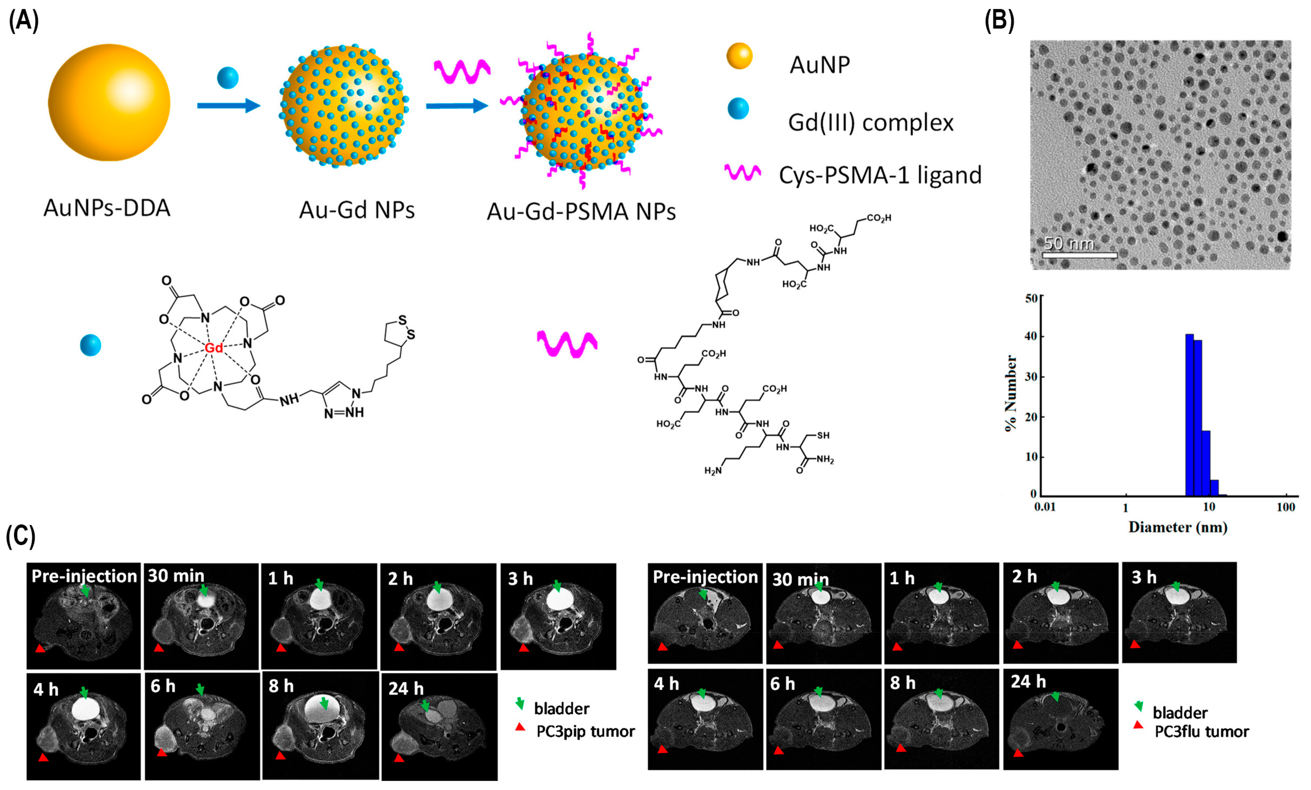 Bioengineering 12 00341 g004 Bioengineering 12 00341 g004