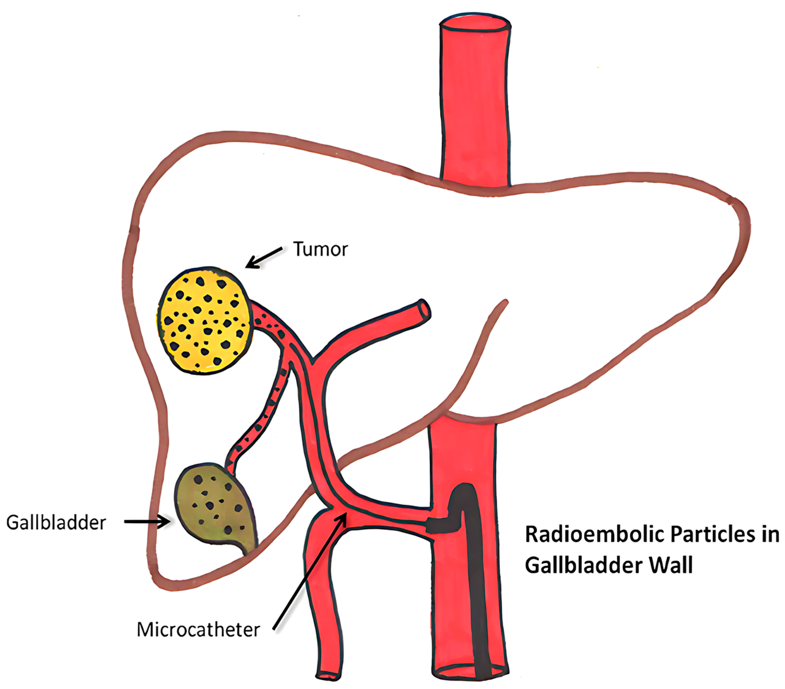 Bioengineering 12 00341 g005 Bioengineering 12 00341 g005