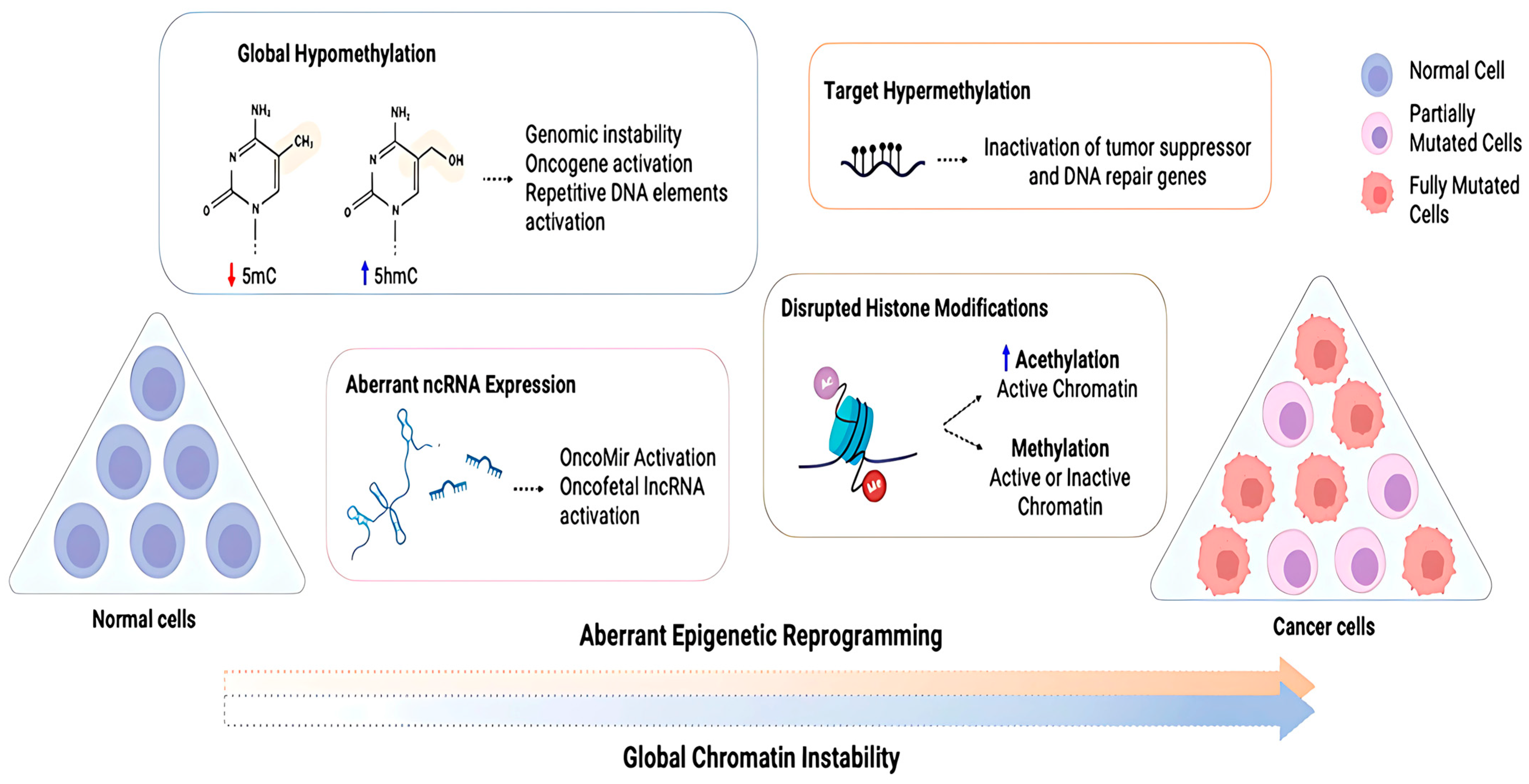 Bioengineering 12 00341 g006 Bioengineering 12 00341 g006