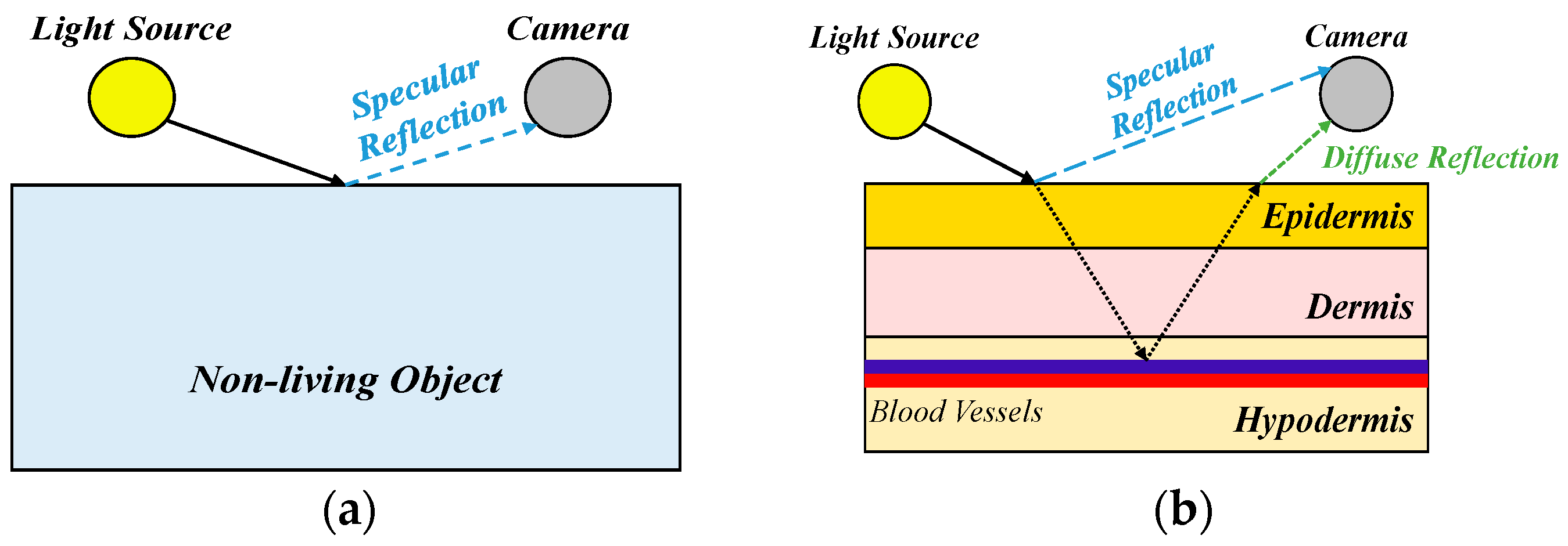 Bioengineering 12 00342 g002