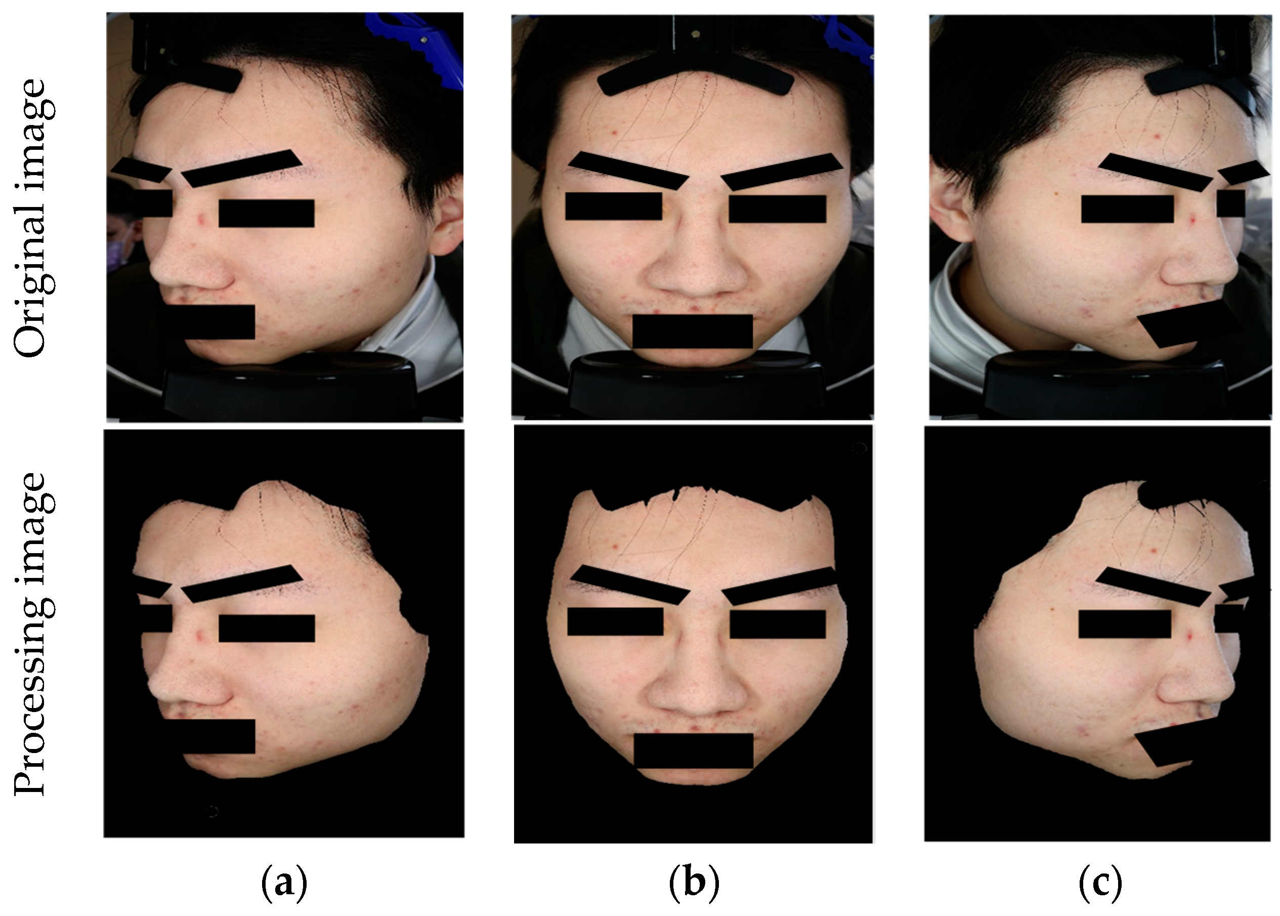 Bioengineering 12 00342 g003