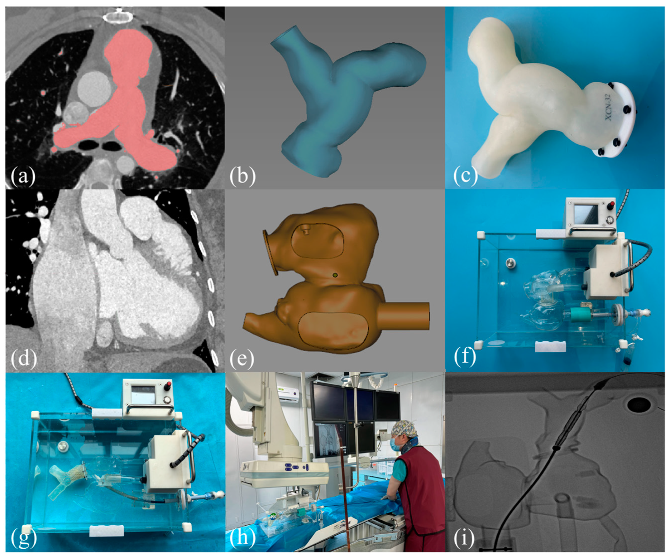 Bioengineering 12 00344 g001