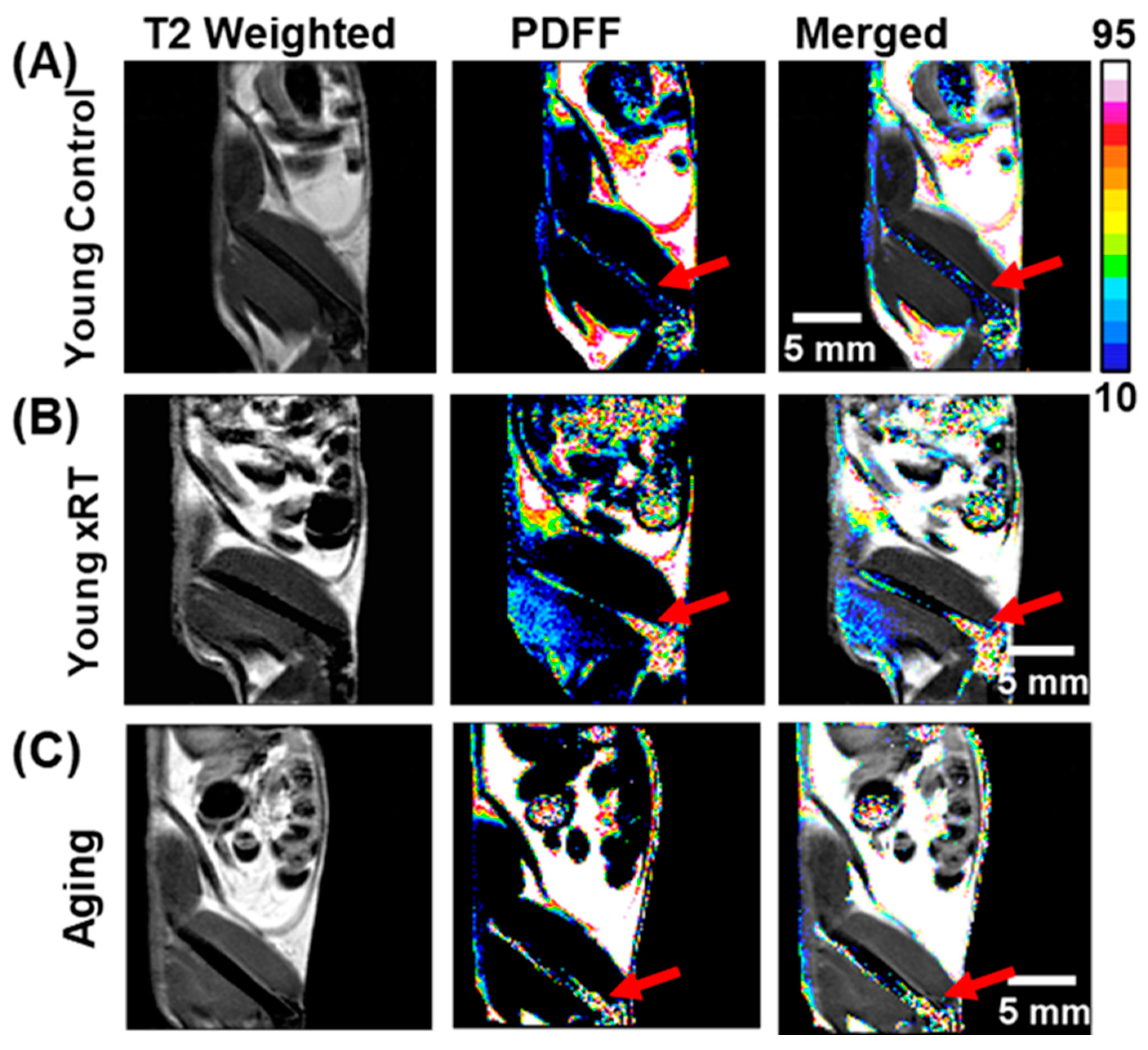 Bioengineering 12 00349 g003