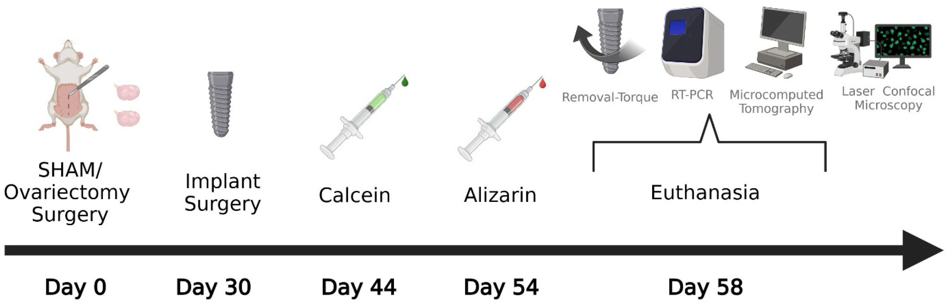 Bioengineering 12 00358 g001