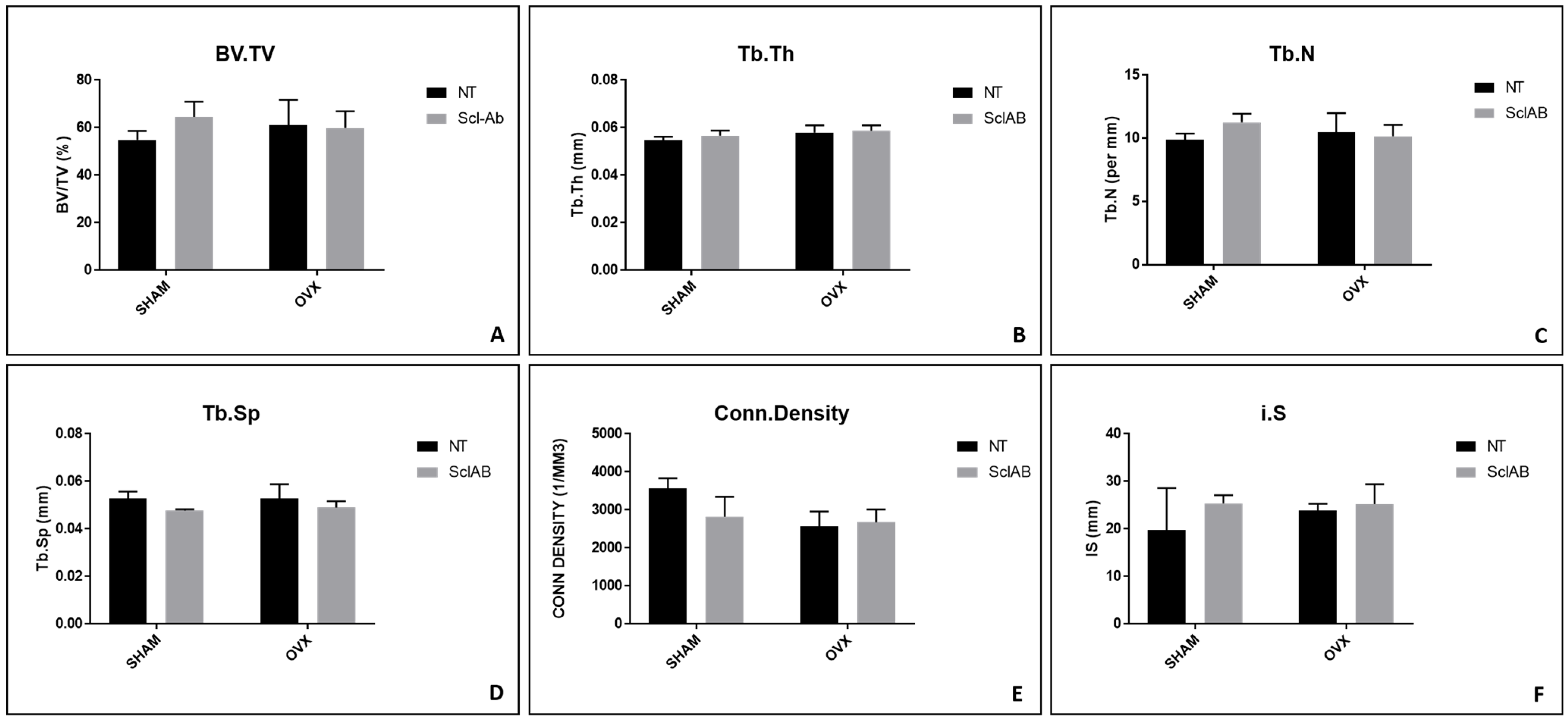 Bioengineering 12 00358 g004