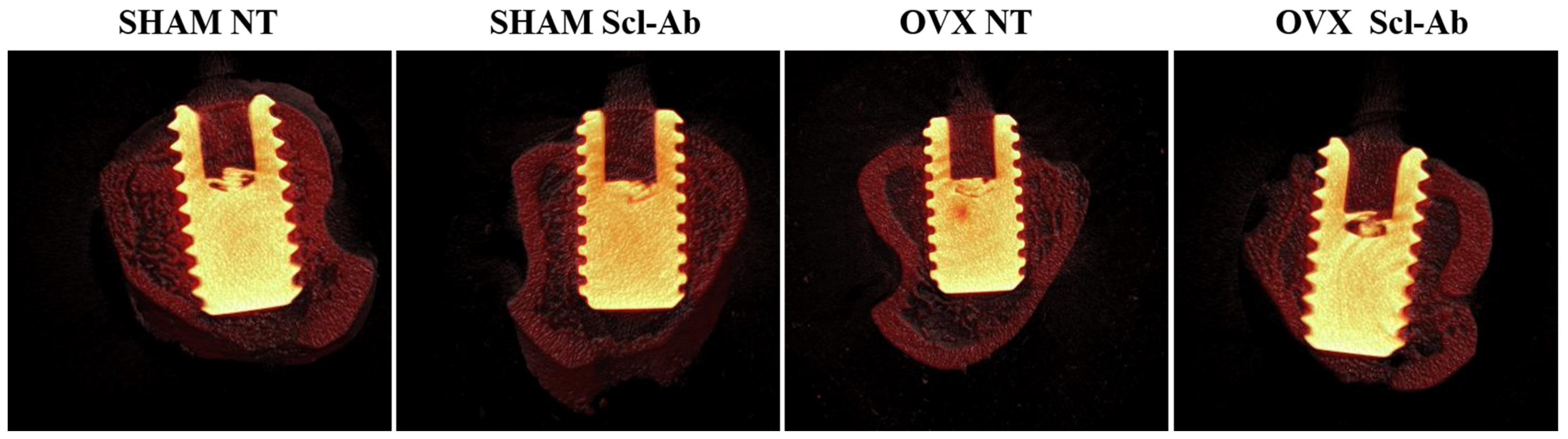 Bioengineering 12 00358 g005