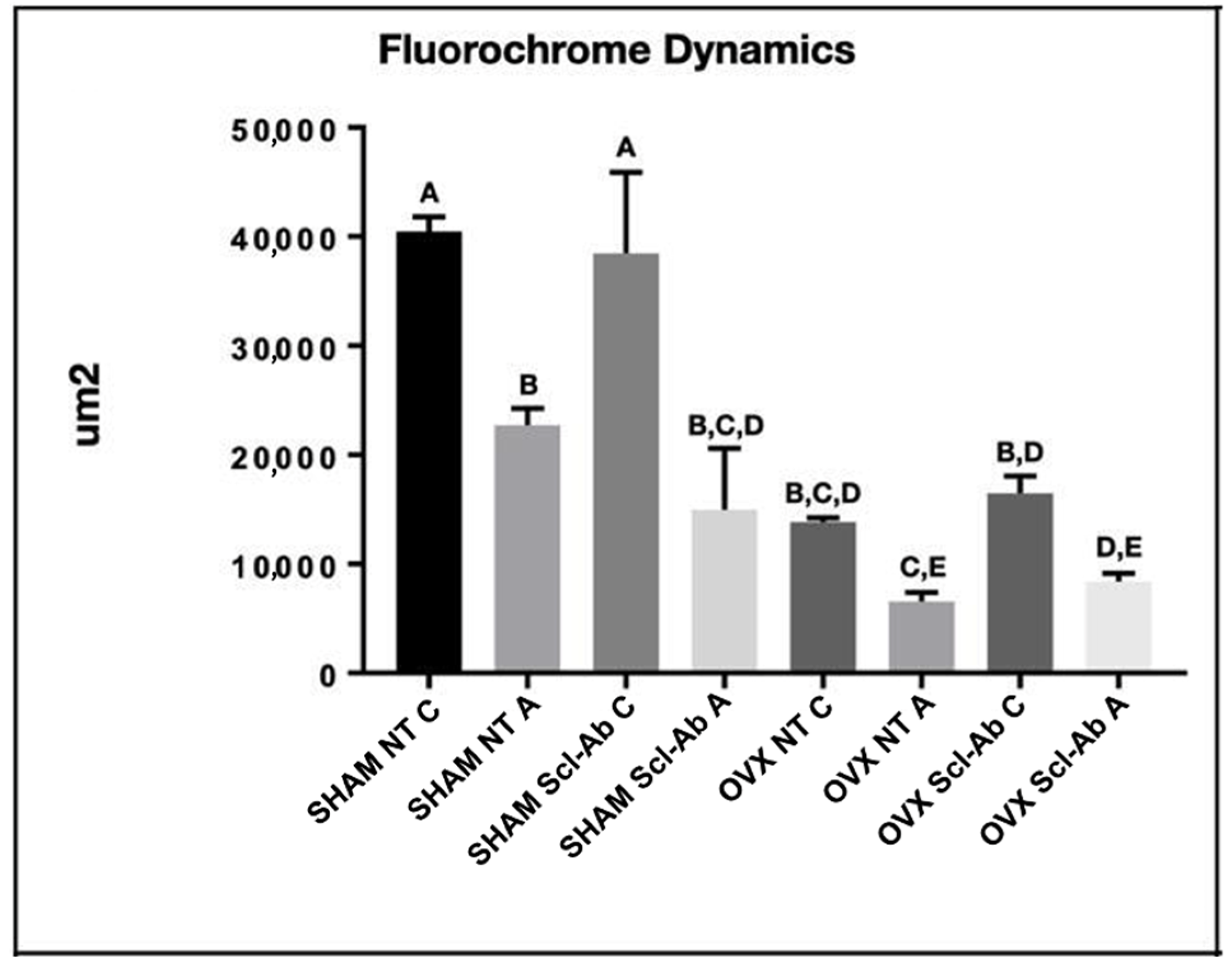 Bioengineering 12 00358 g007