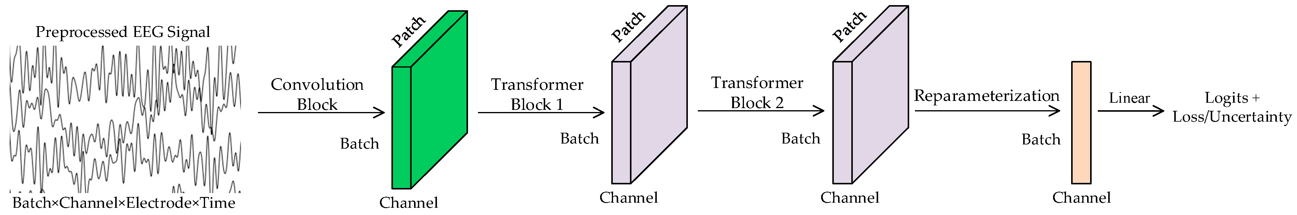Bioengineering 12 00359 g001