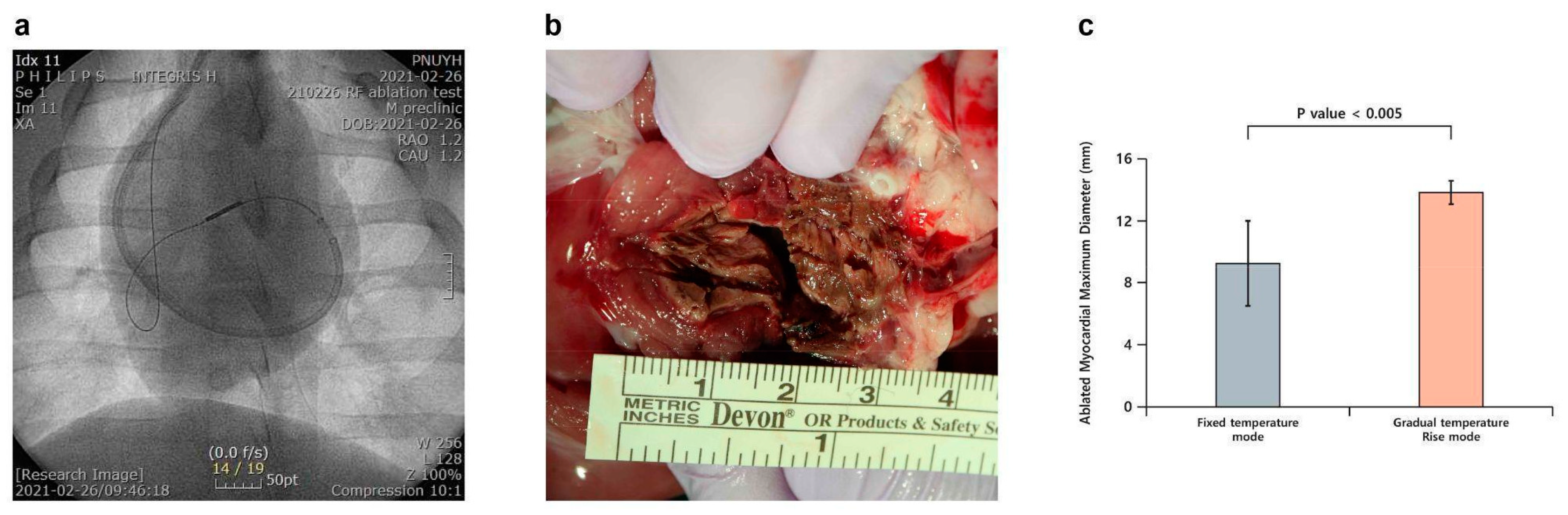Bioengineering 12 00360 g005