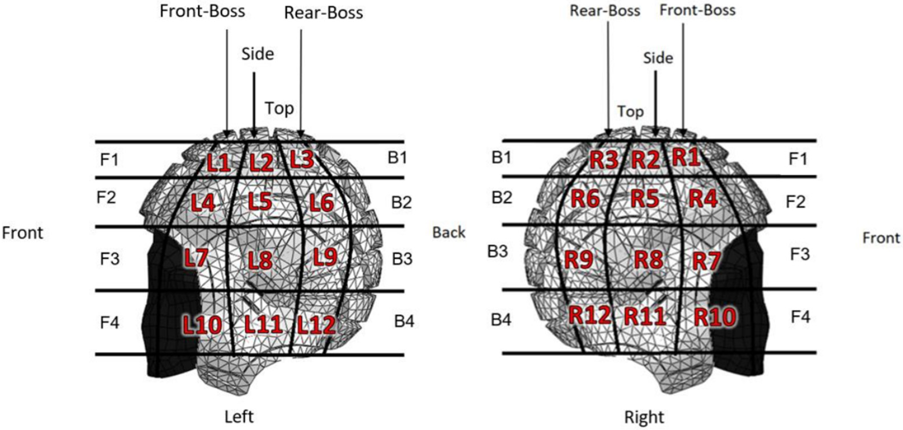 Bioengineering 12 00361 g001