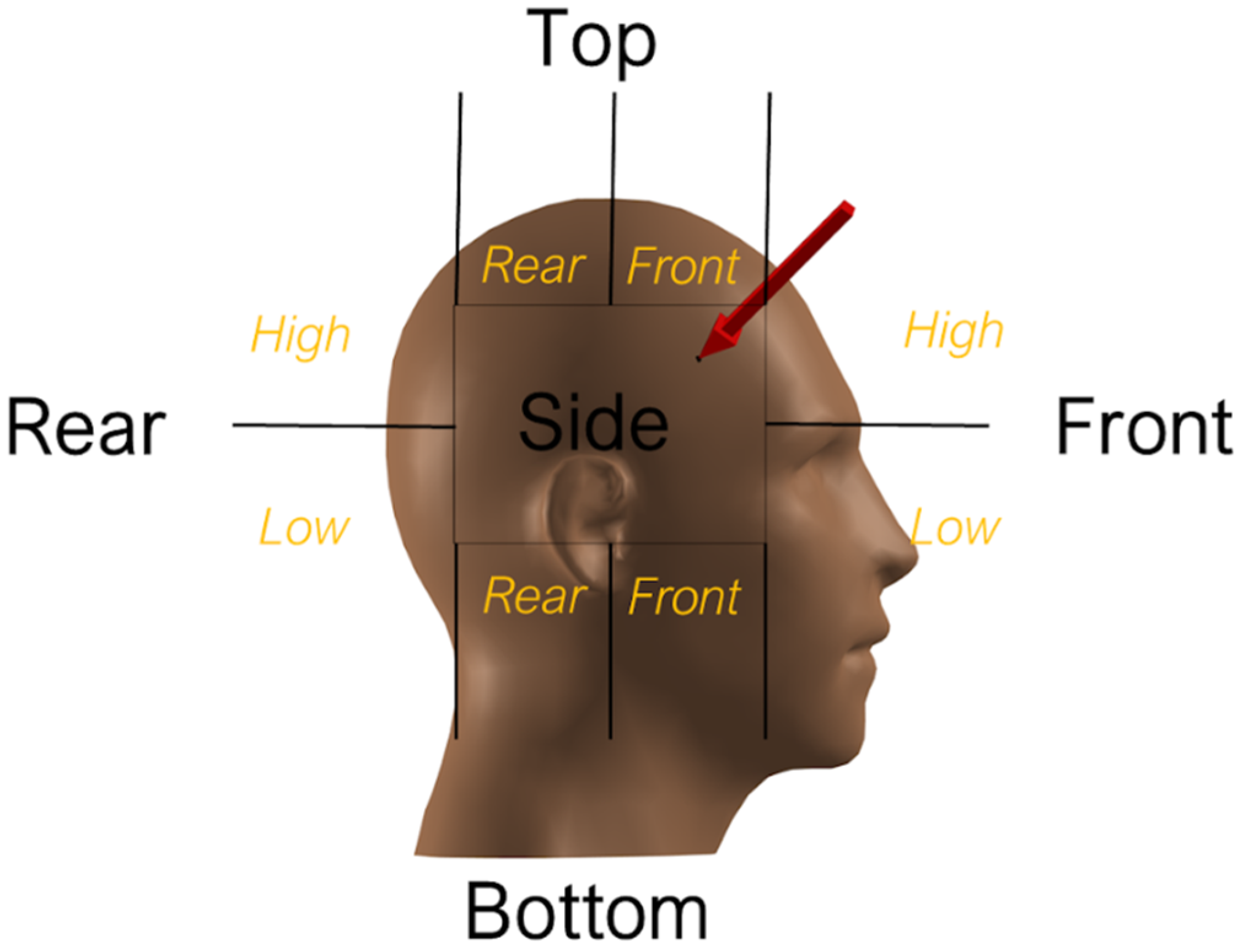 Bioengineering 12 00361 g002