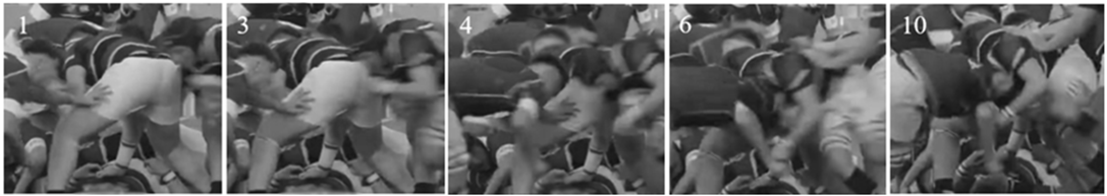 Bioengineering 12 00361 g009