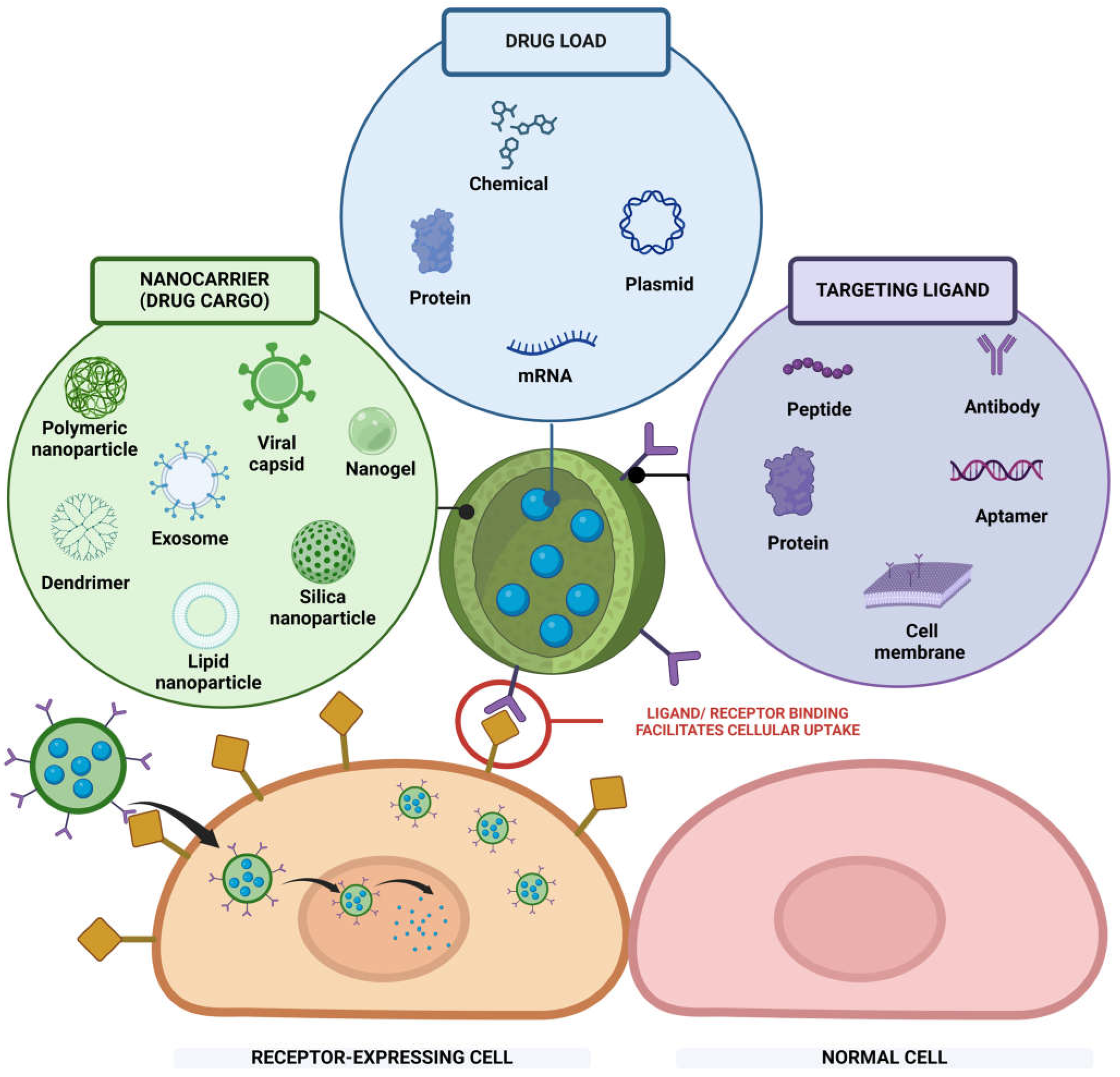 Bioengineering 12 00362 g001