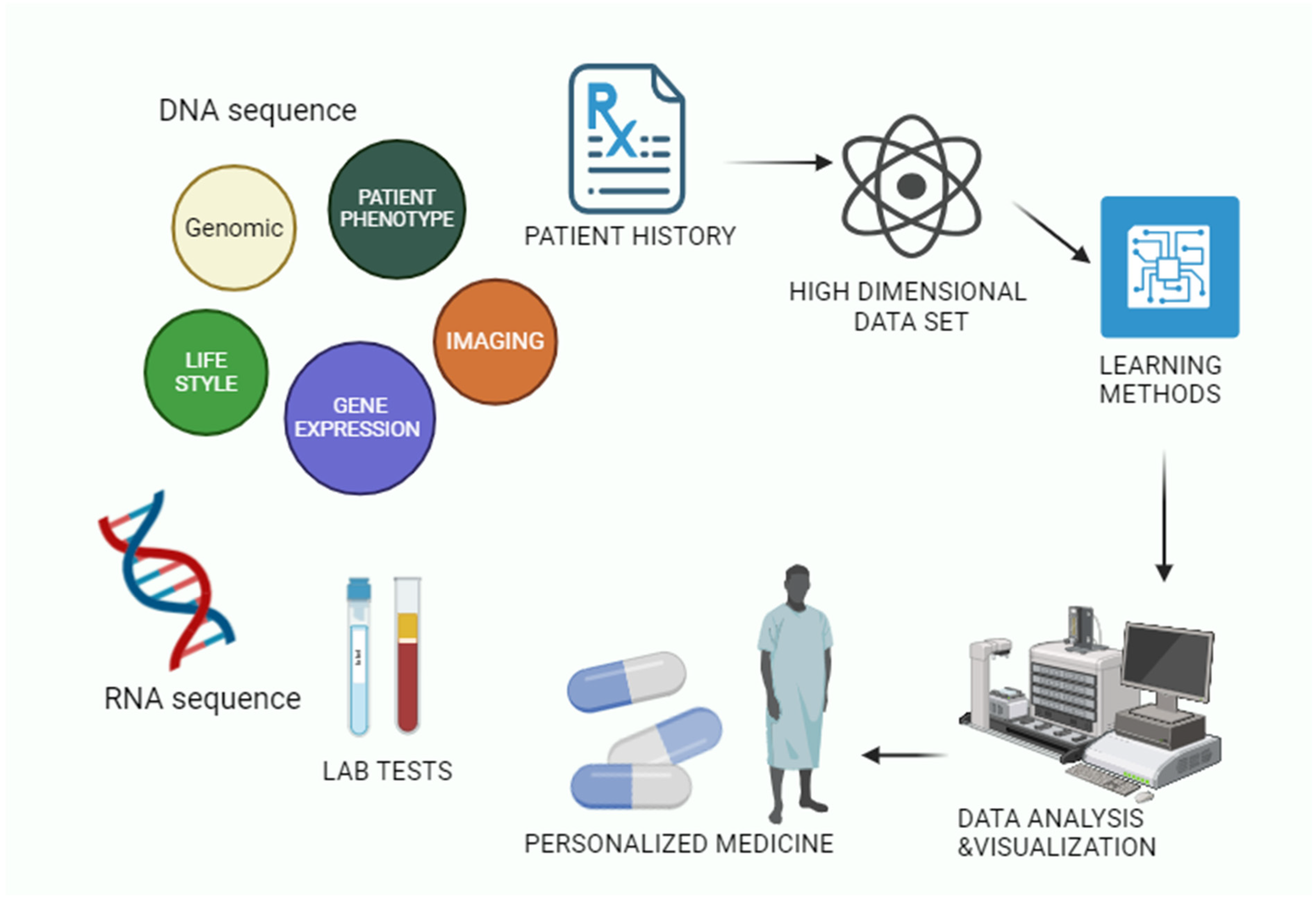 Bioengineering 12 00363 g006
