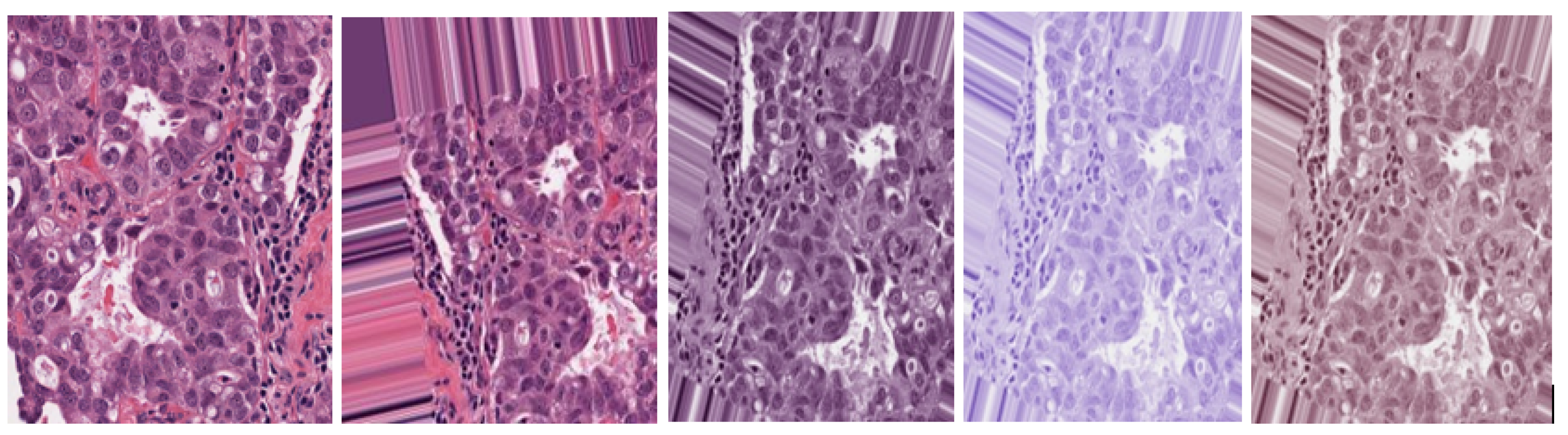 Bioengineering 12 00364 g002