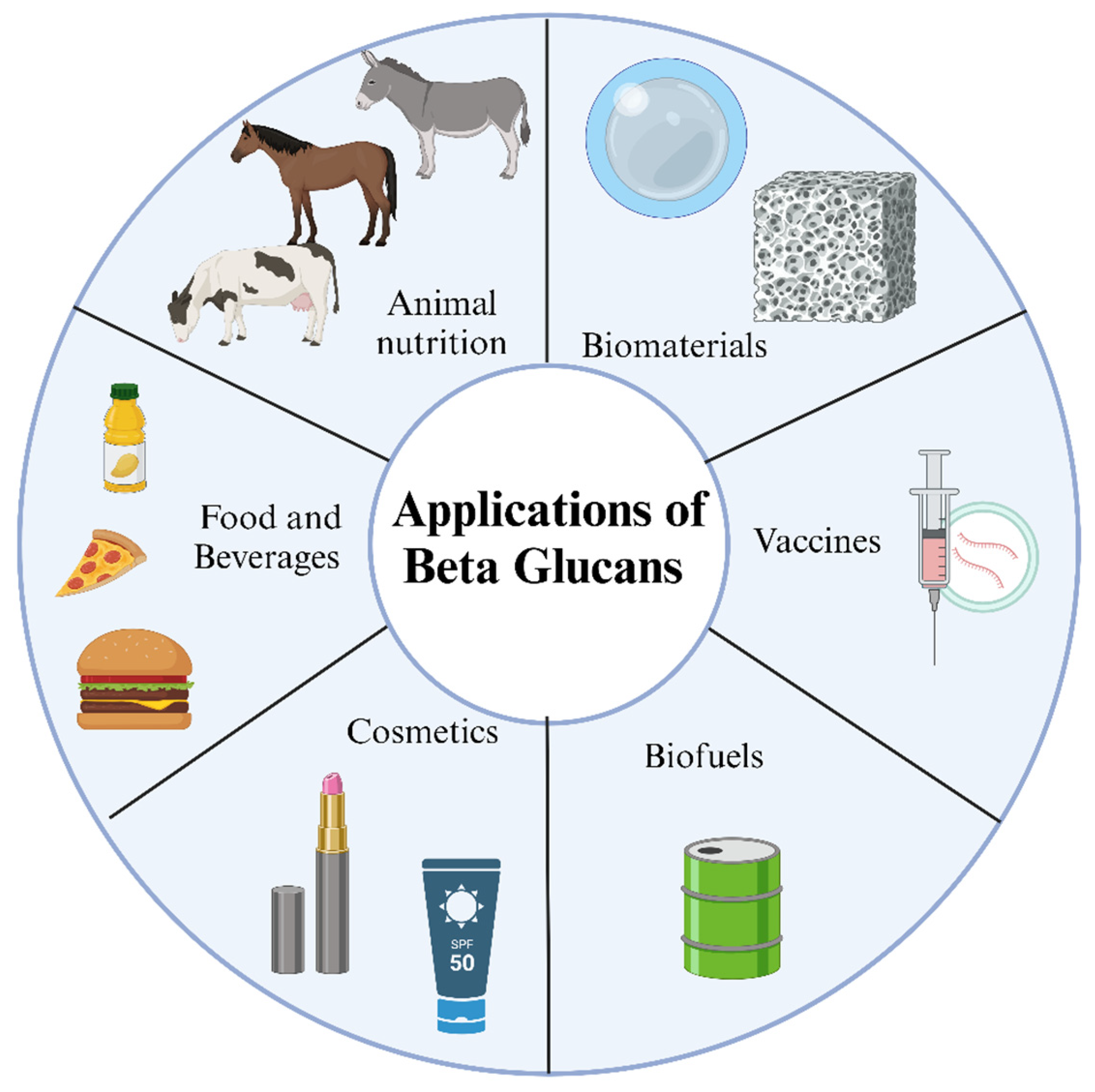 Bioengineering 12 00365 g004