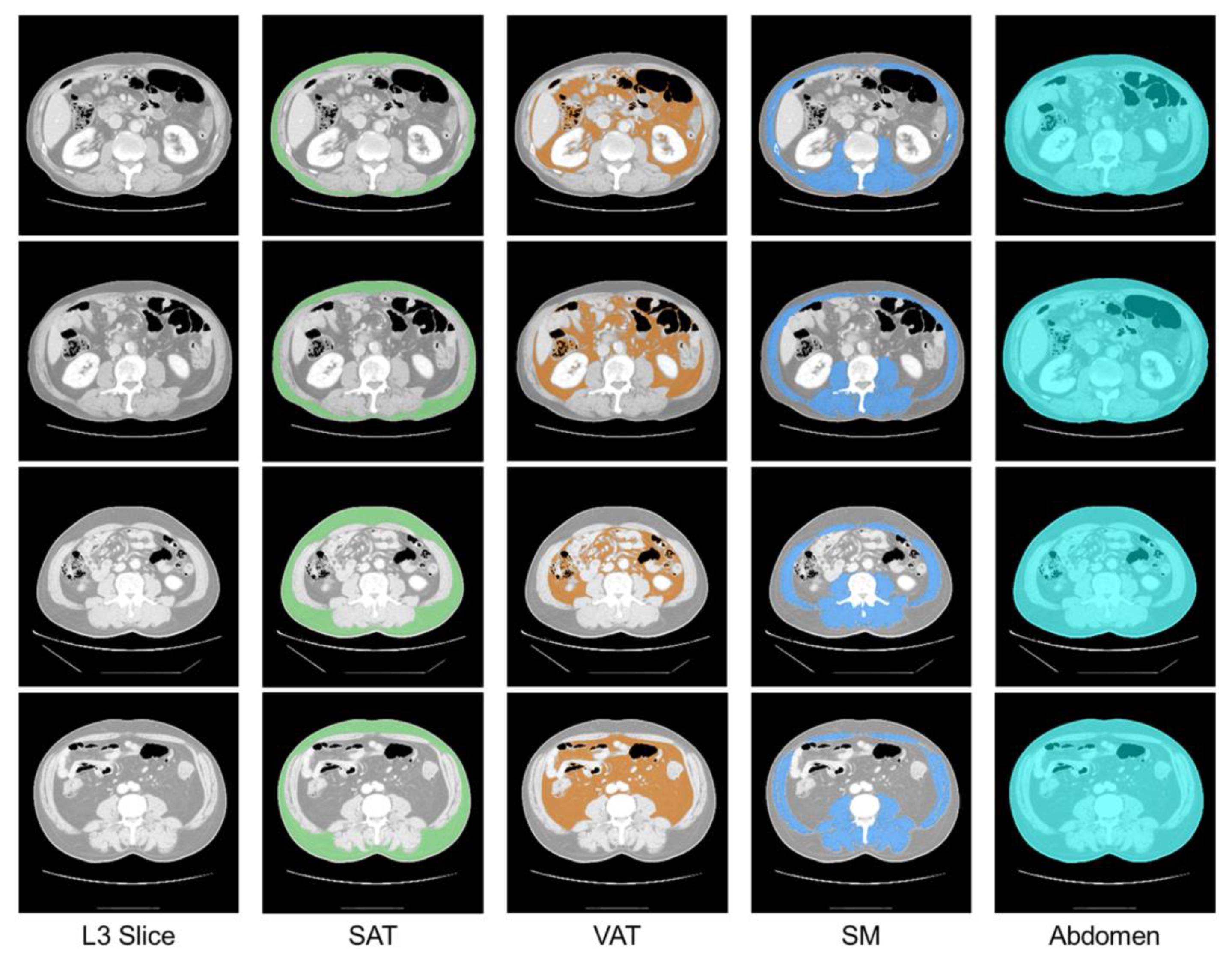 Bioengineering 12 00367 g005