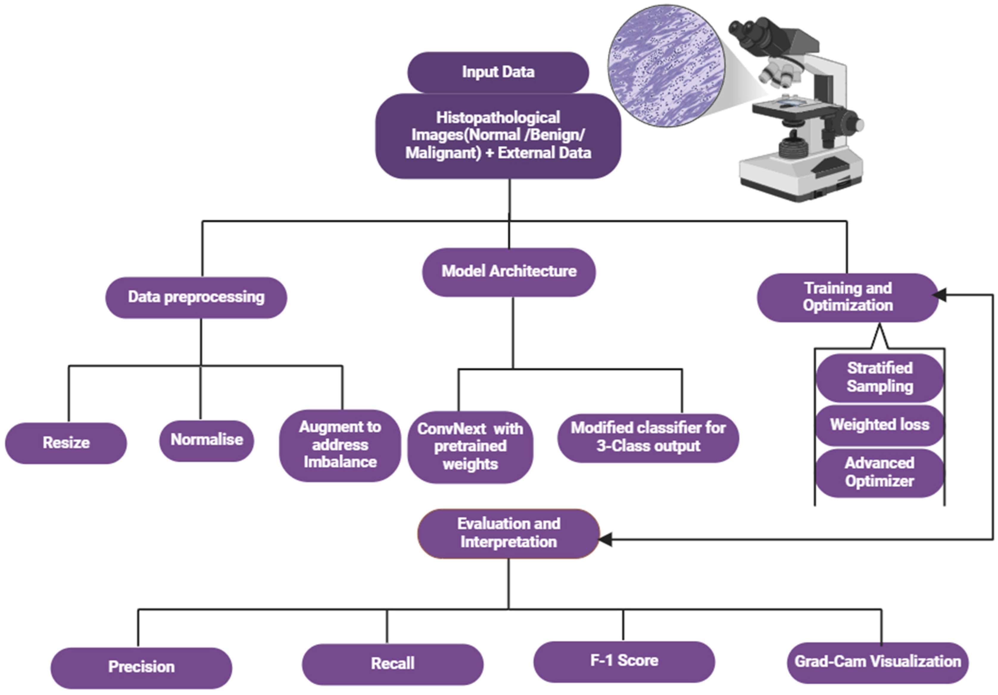 Bioengineering 12 00369 g001