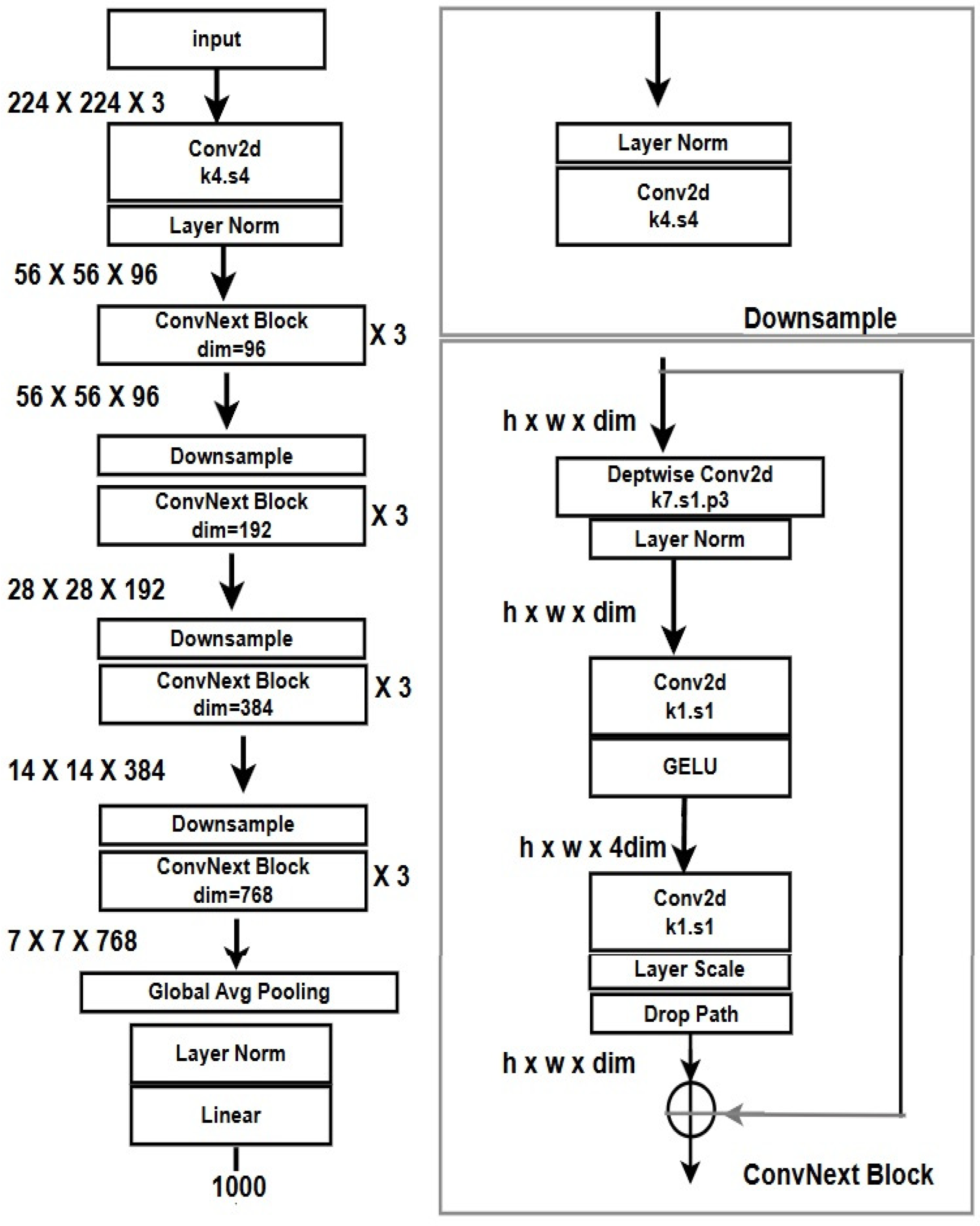 Bioengineering 12 00369 g003