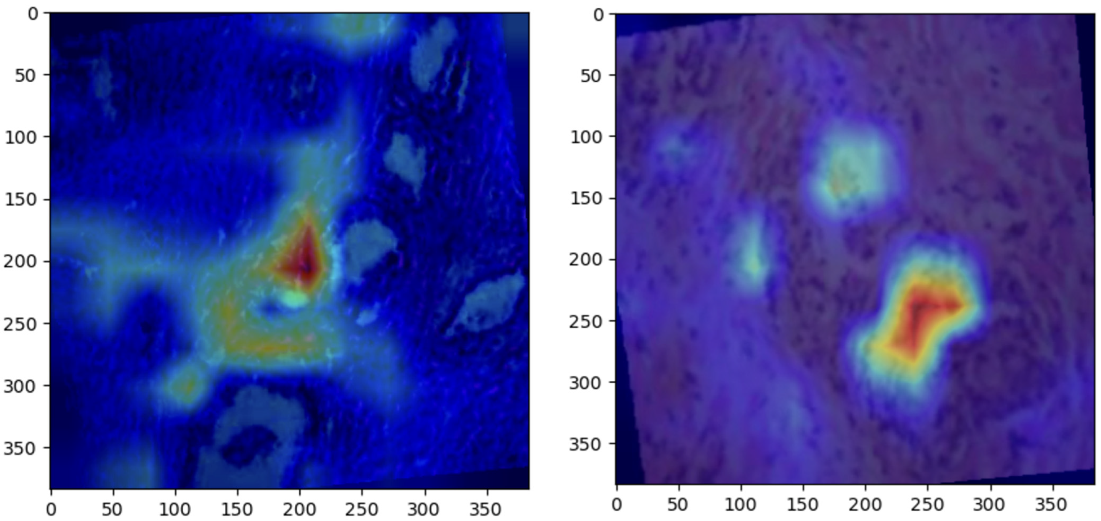 Bioengineering 12 00369 g006