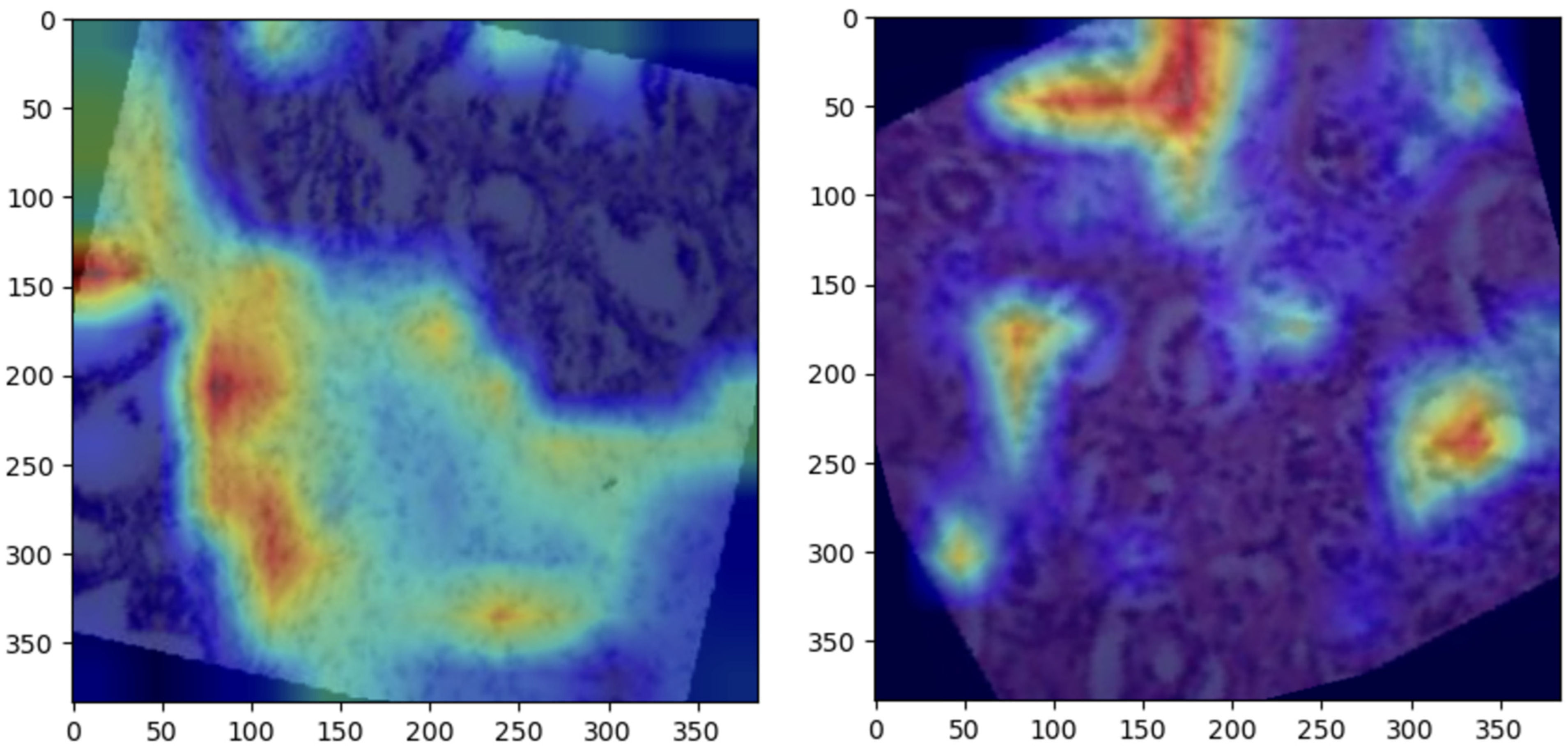 Bioengineering 12 00369 g007