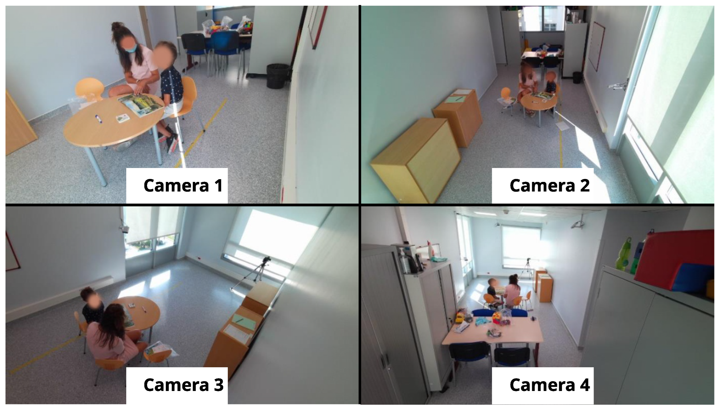 Bioengineering 12 00370 g002