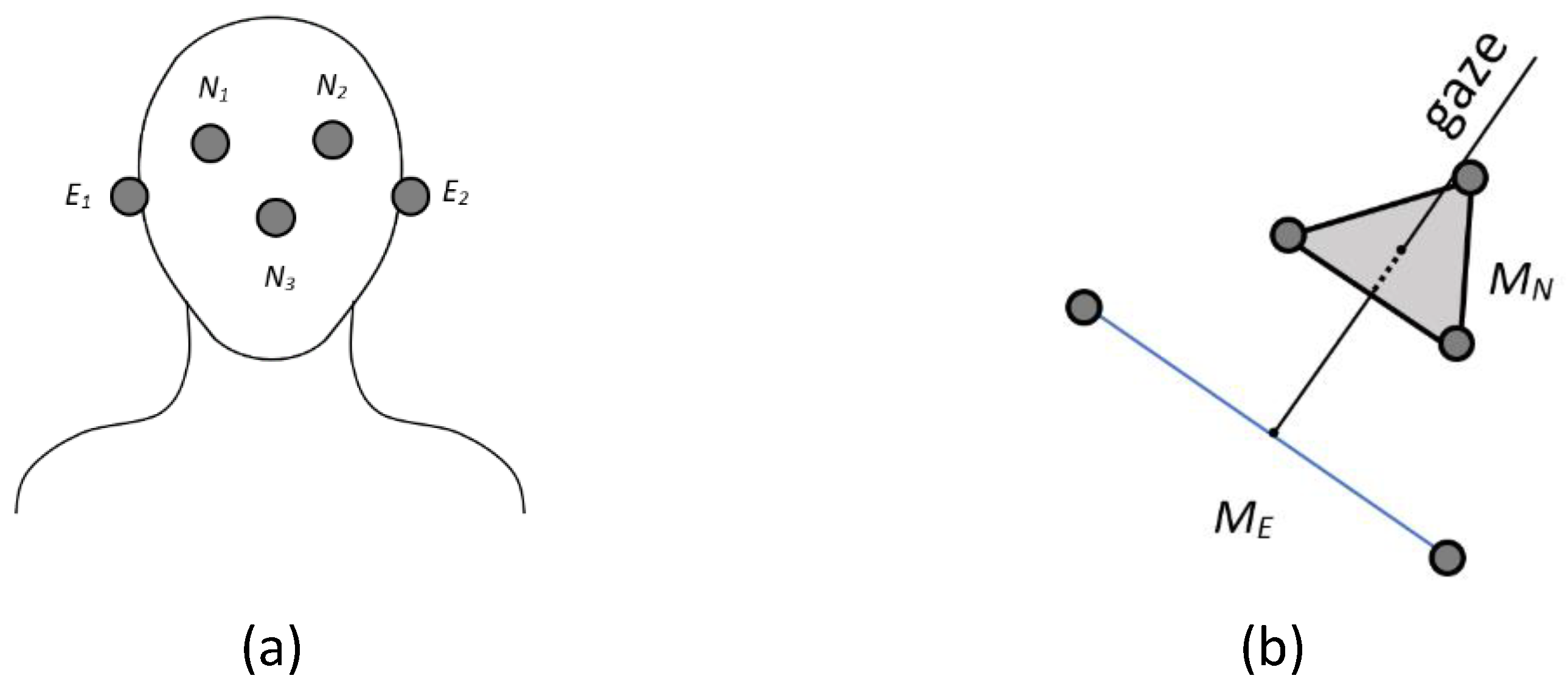 Bioengineering 12 00370 g006