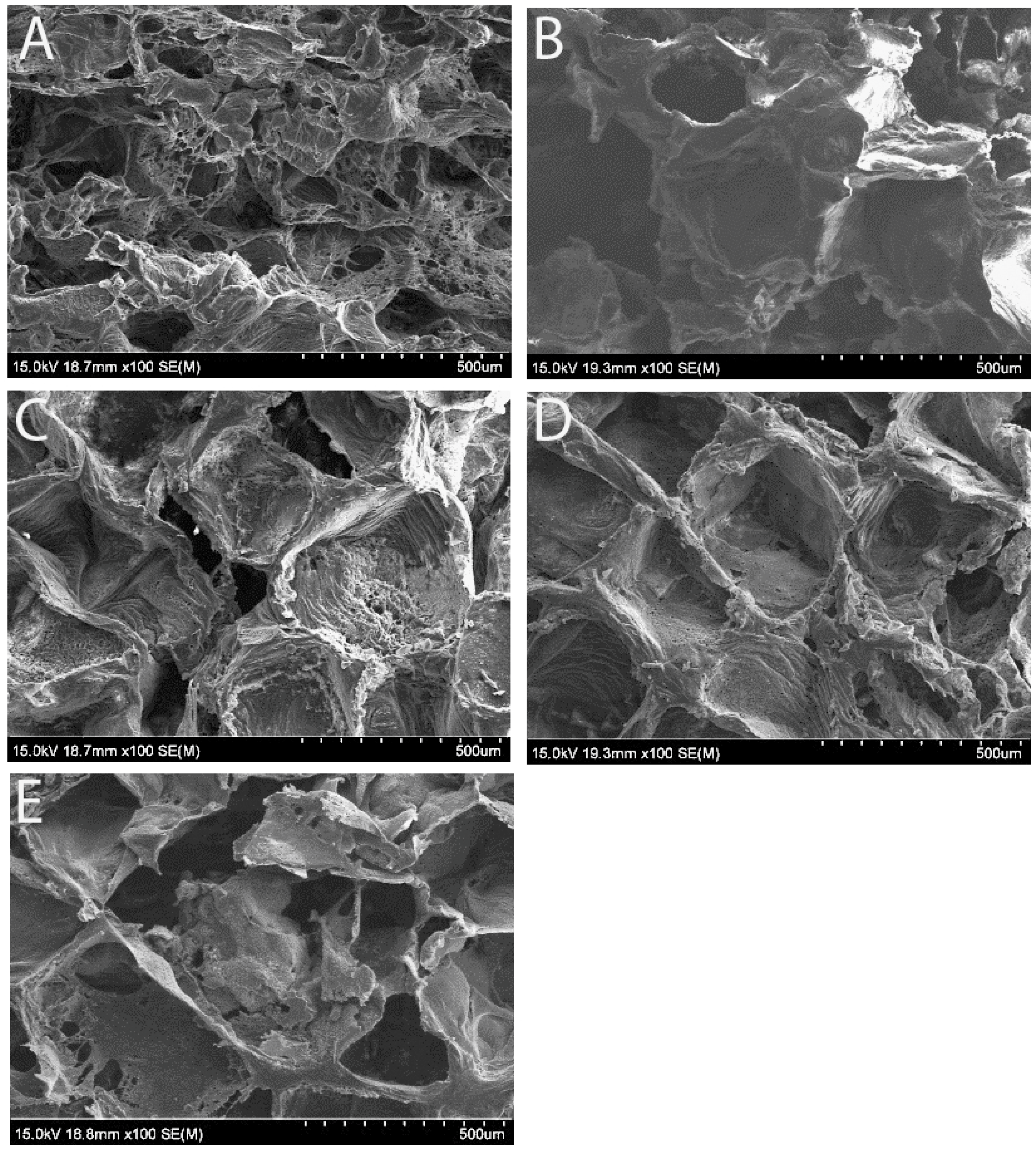 Bioengineering 12 00371 g001