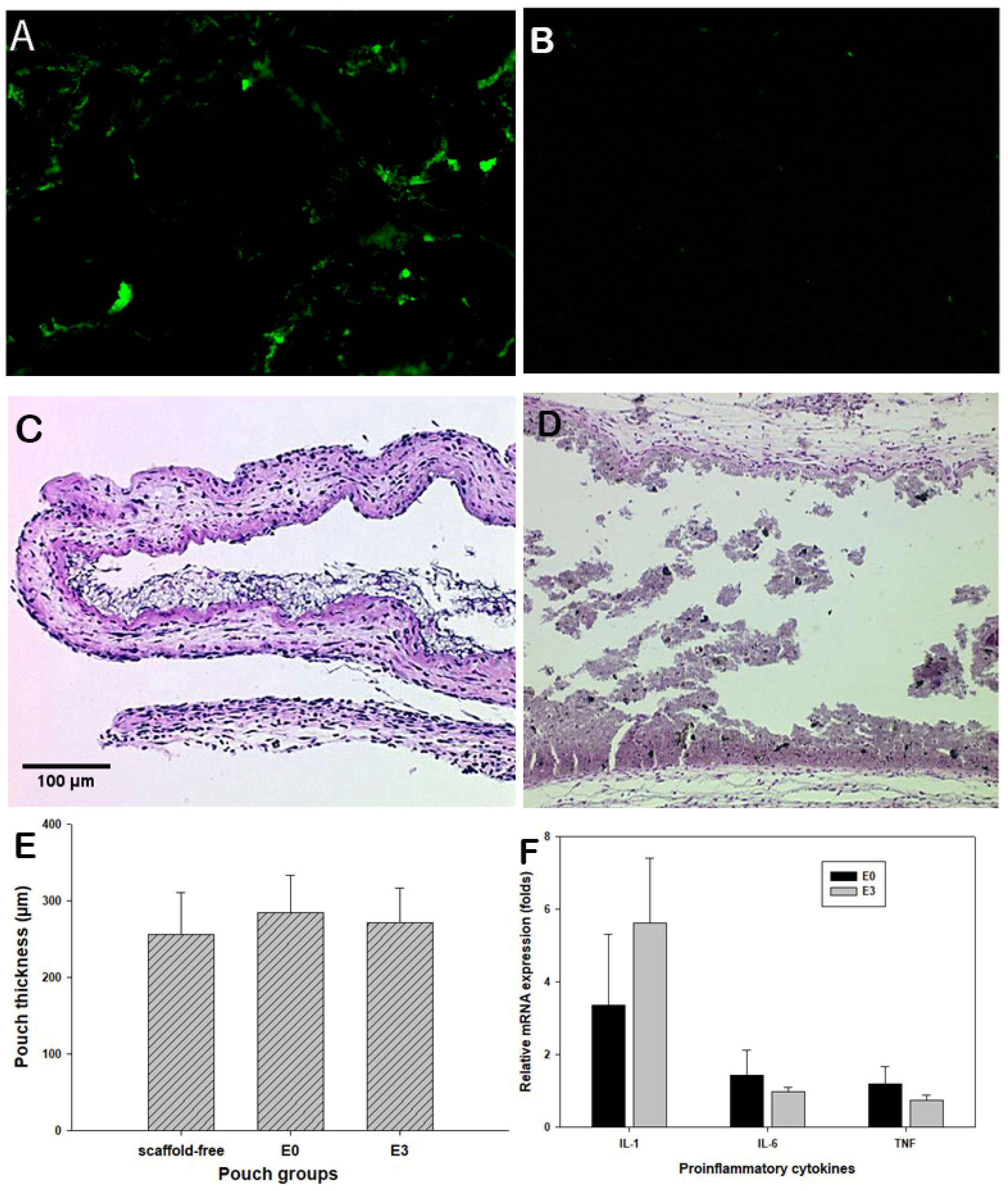 Bioengineering 12 00371 g004