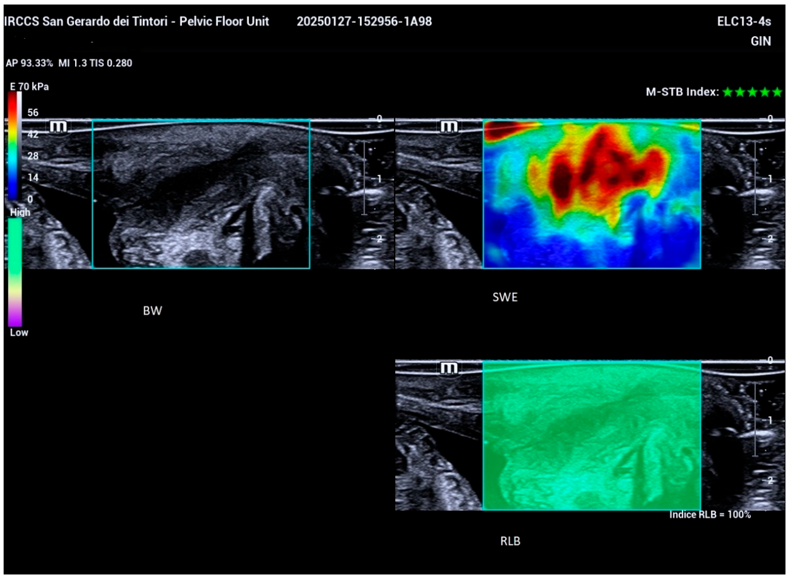 Bioengineering 12 00373 g003