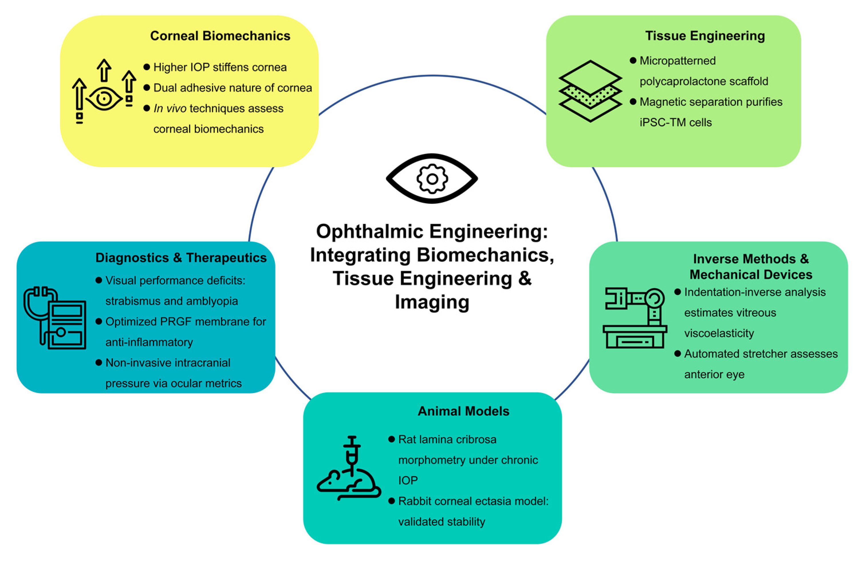 Bioengineering 12 00374 g001