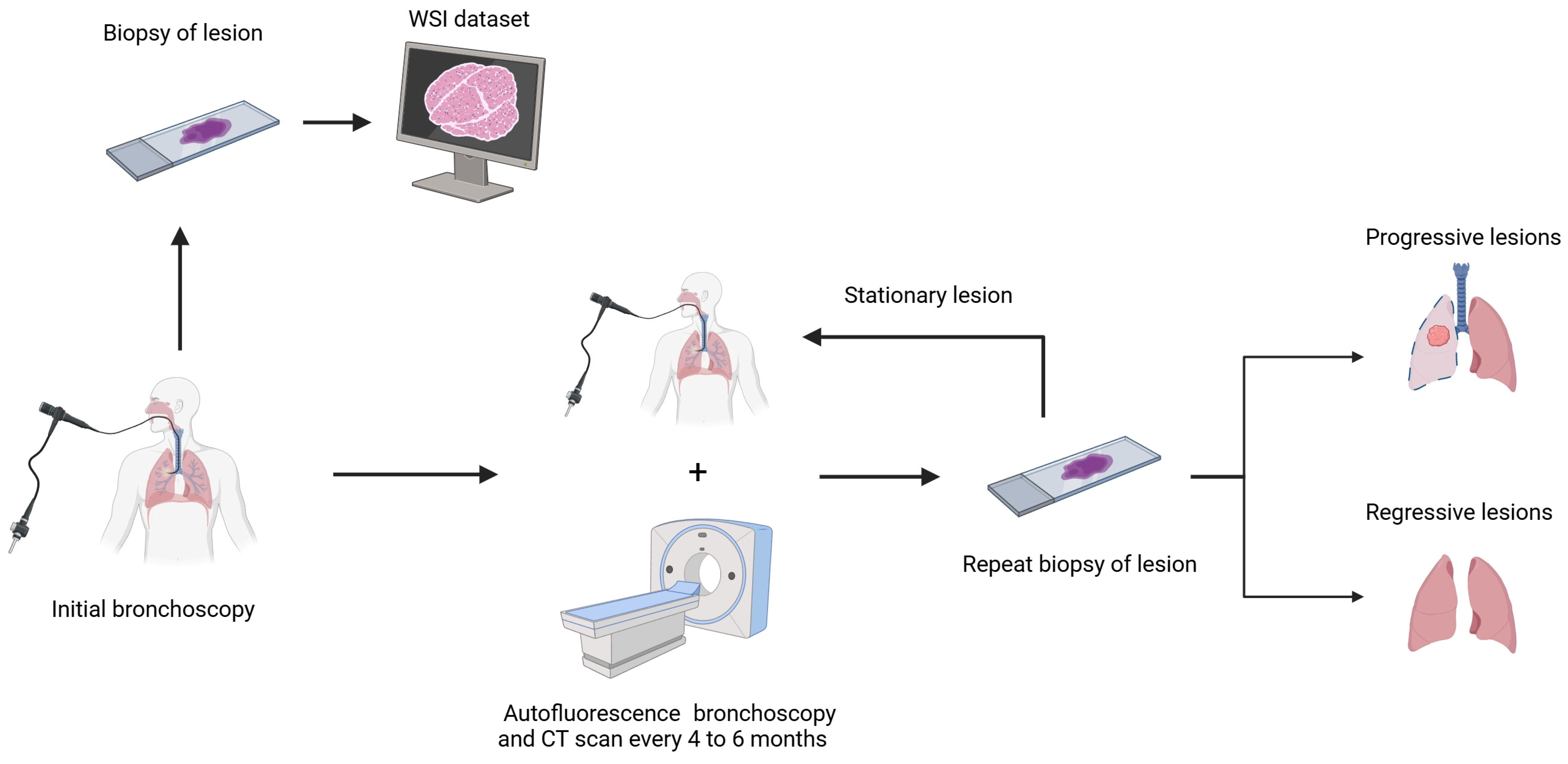 Bioengineering 12 00377 g001