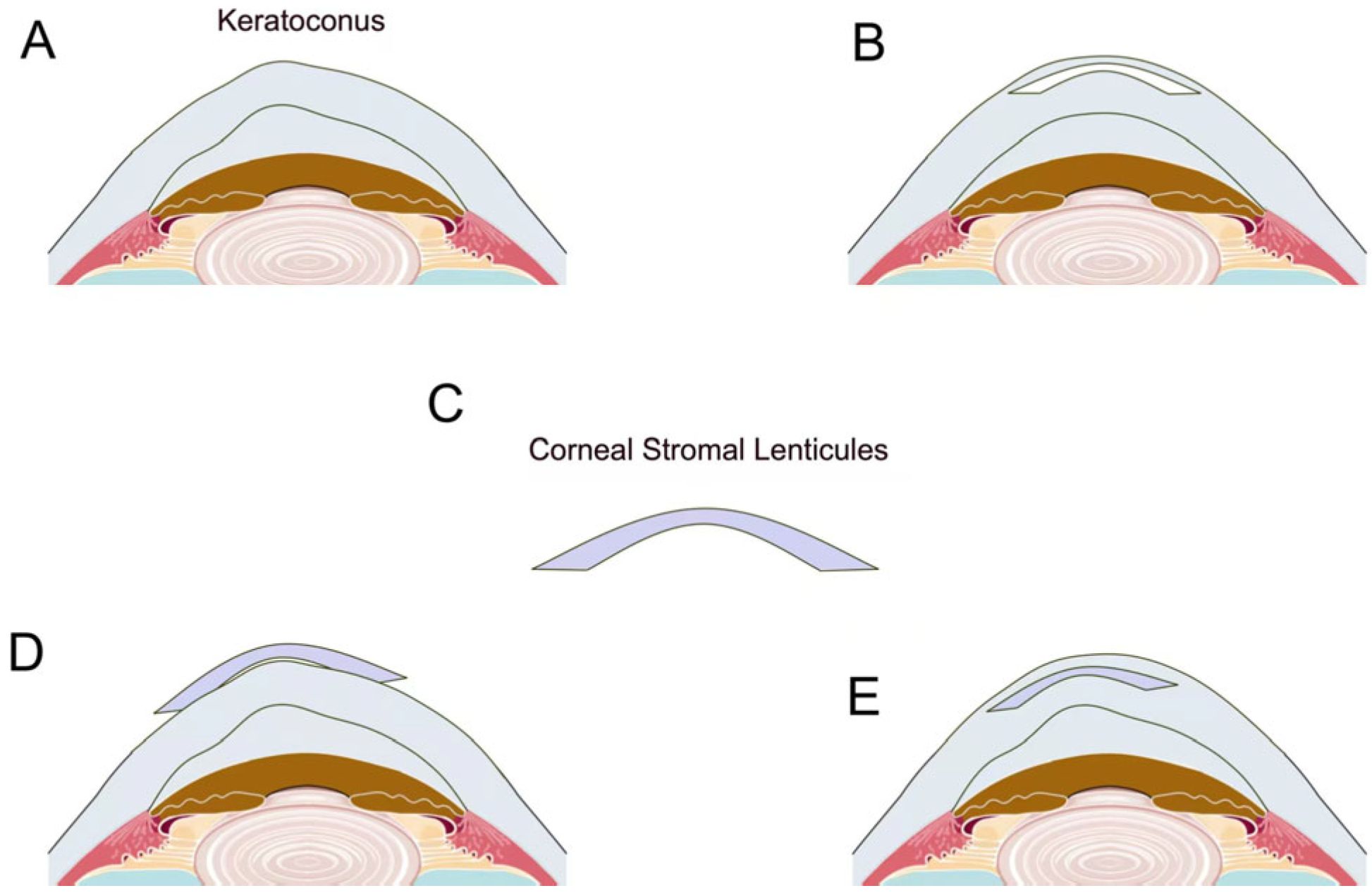 Bioengineering 12 00380 g002 Bioengineering 12 00380 g002