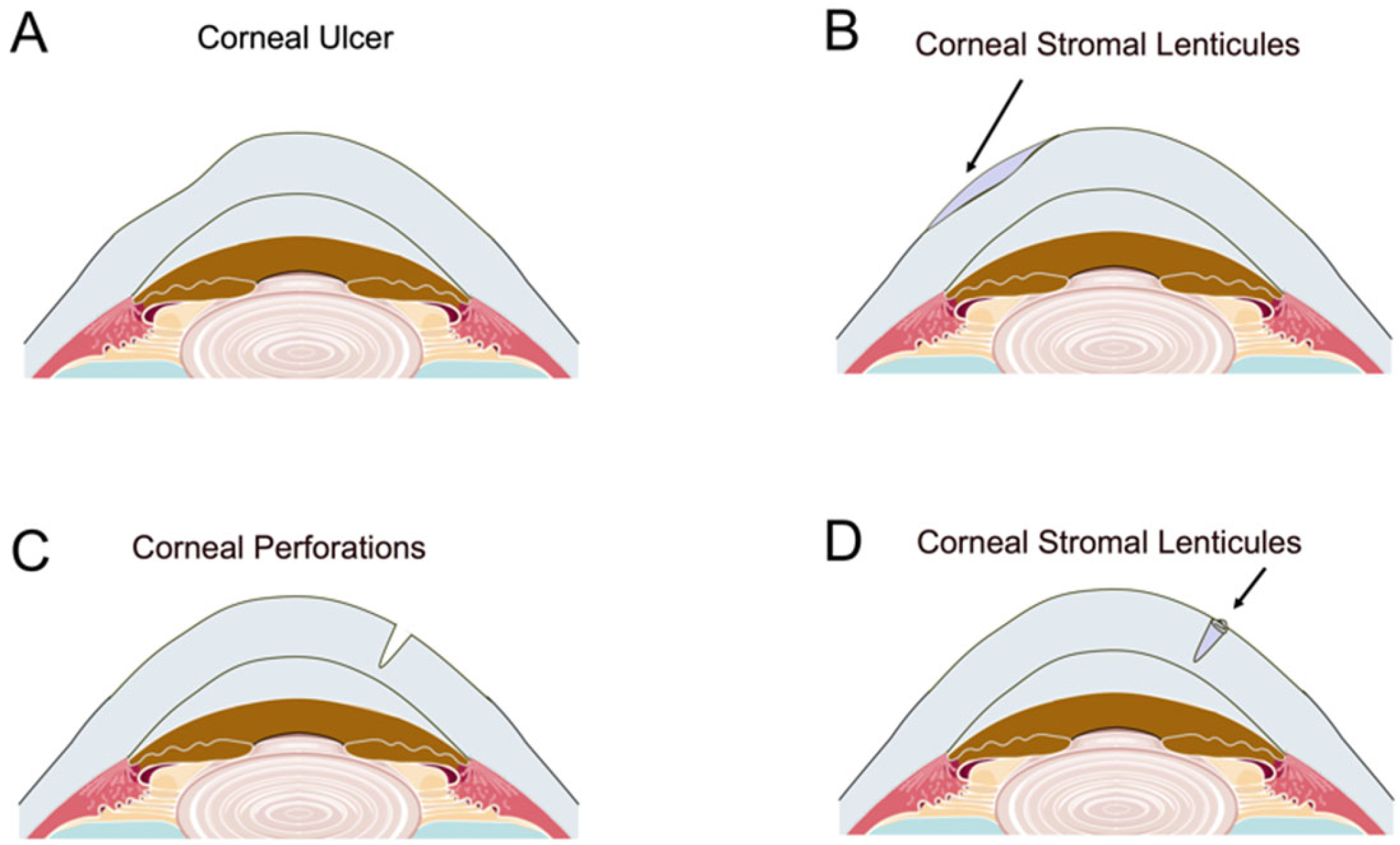 Bioengineering 12 00380 g003 Bioengineering 12 00380 g003