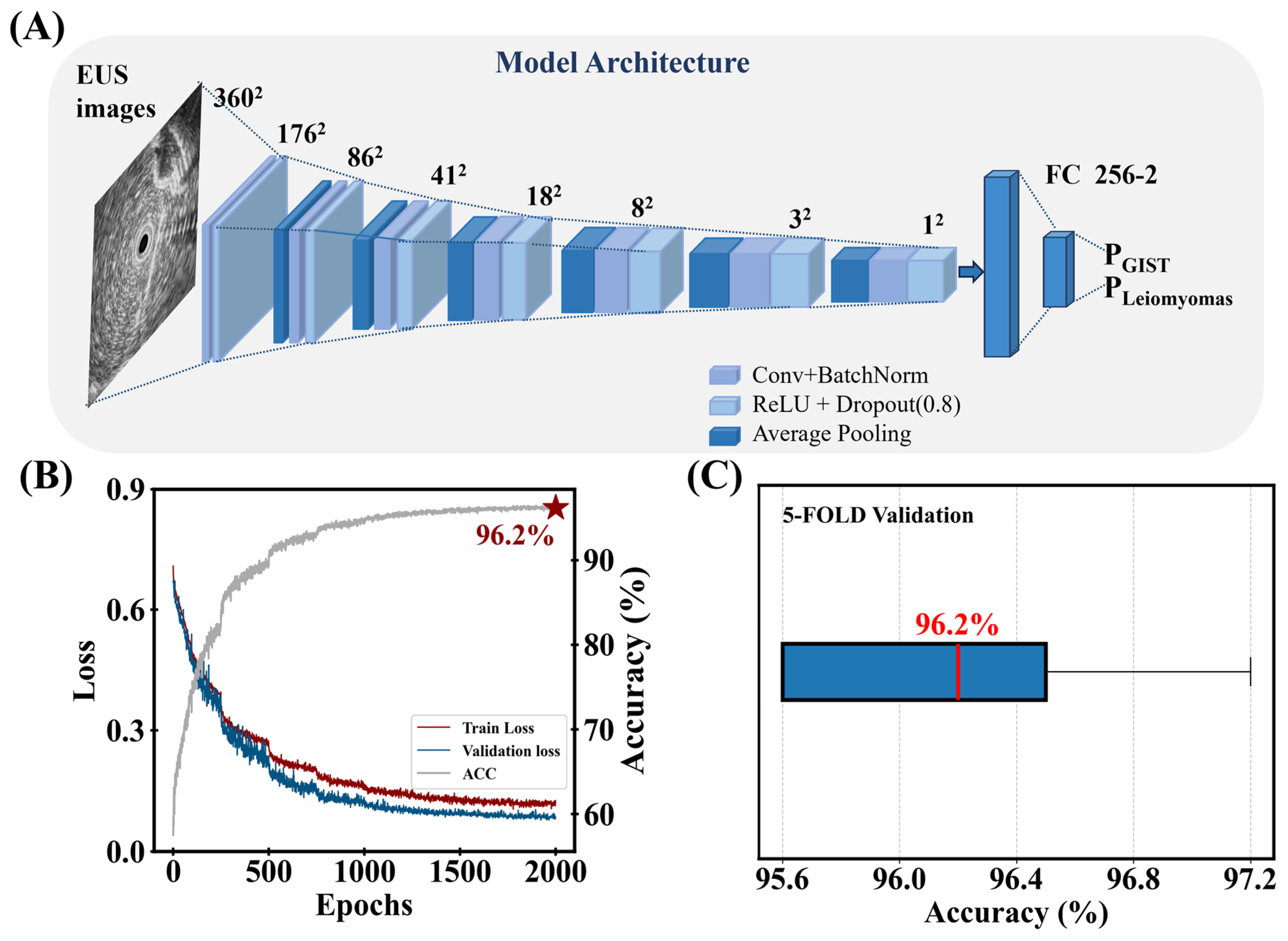 Bioengineering 12 00381 g002
