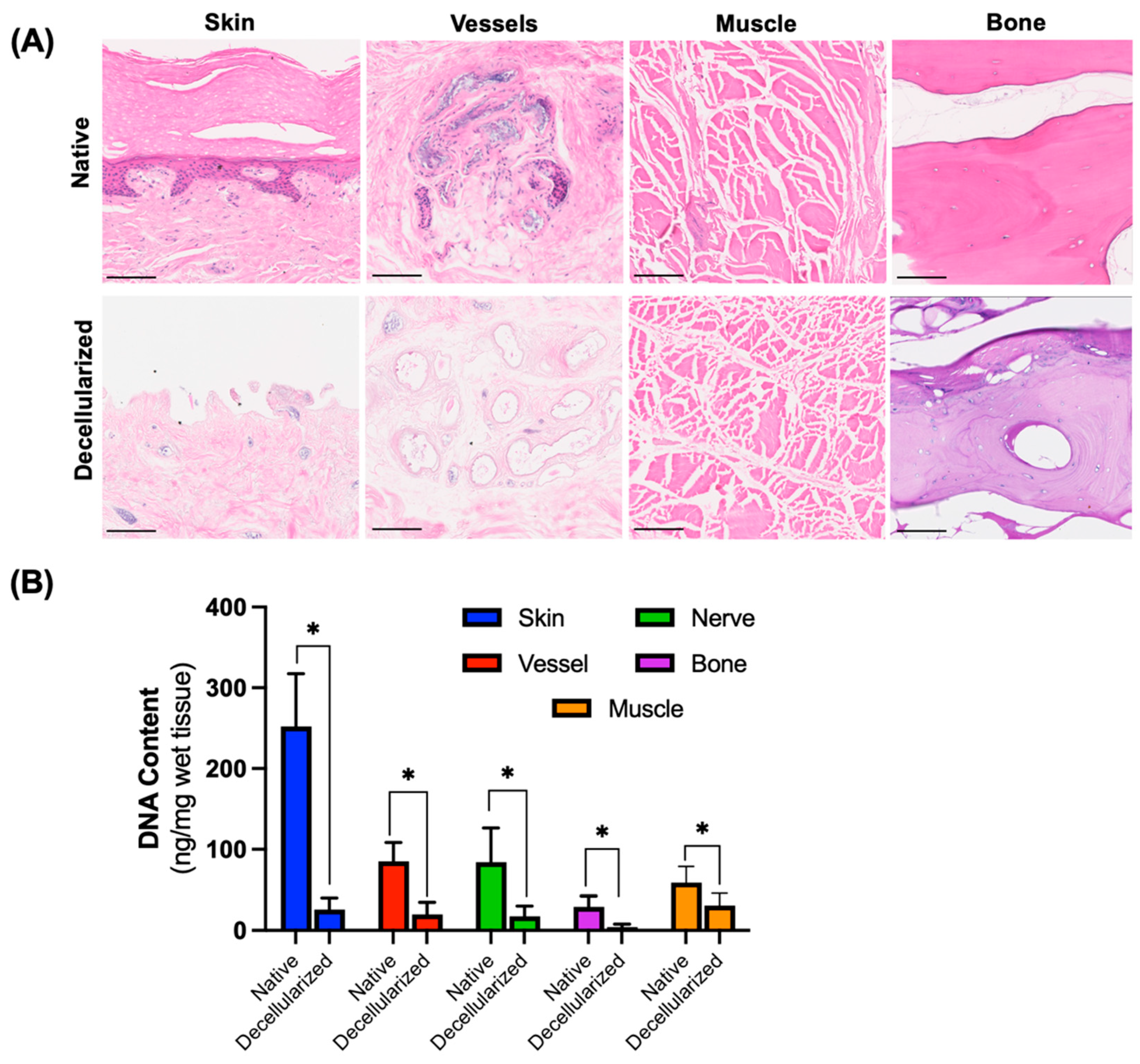 Bioengineering 12 00383 g003