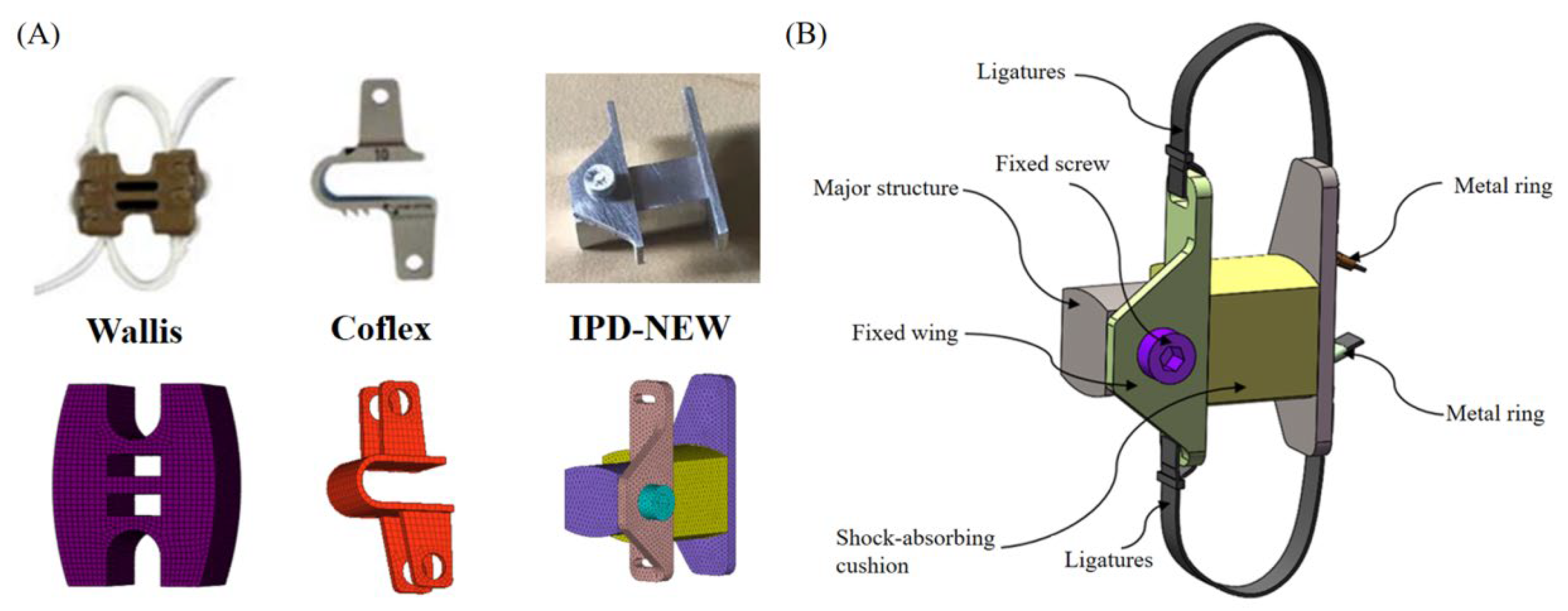 Bioengineering 12 00384 g002