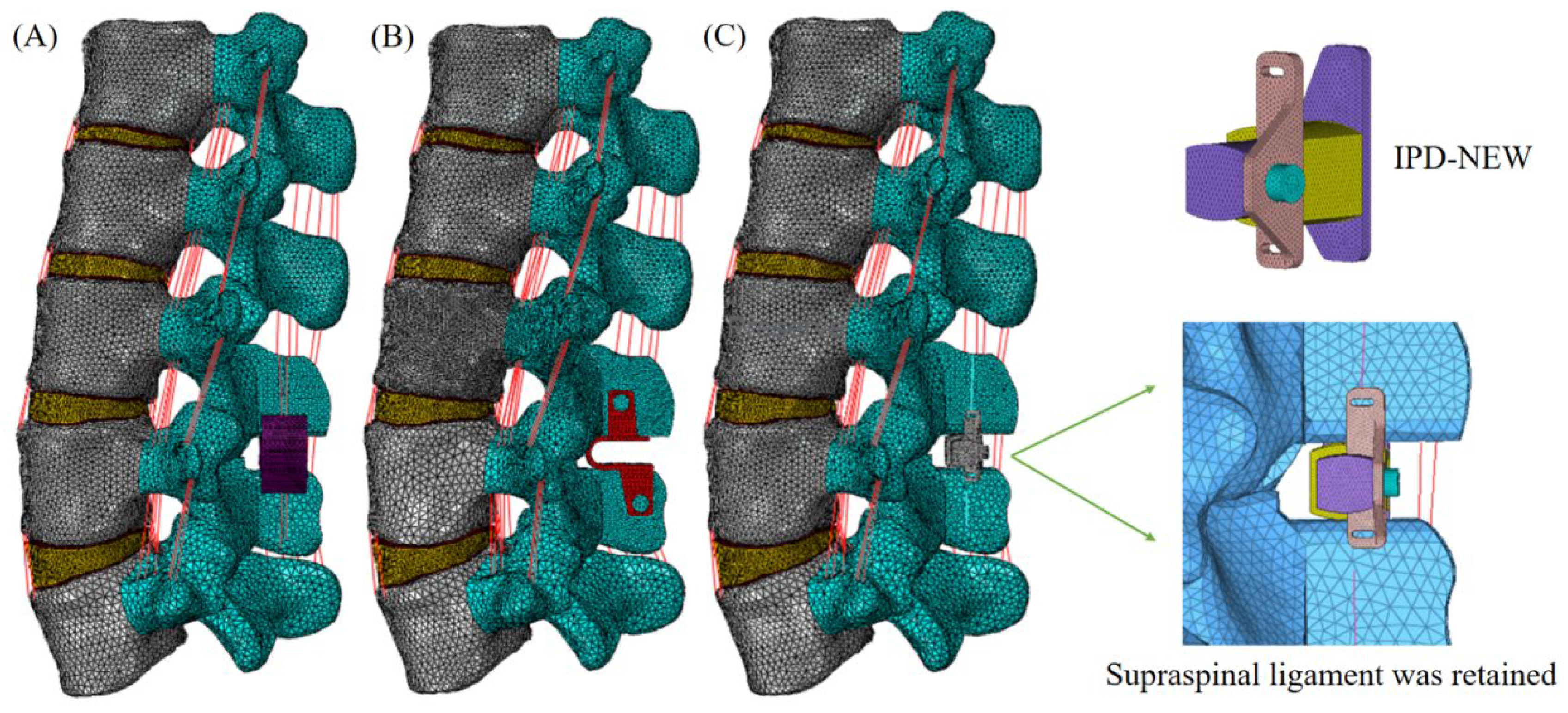 Bioengineering 12 00384 g003