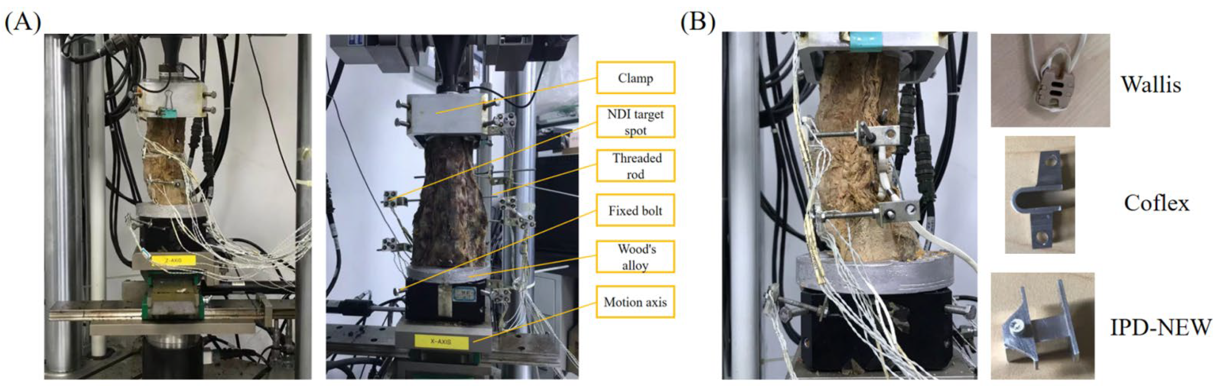 Bioengineering 12 00384 g004