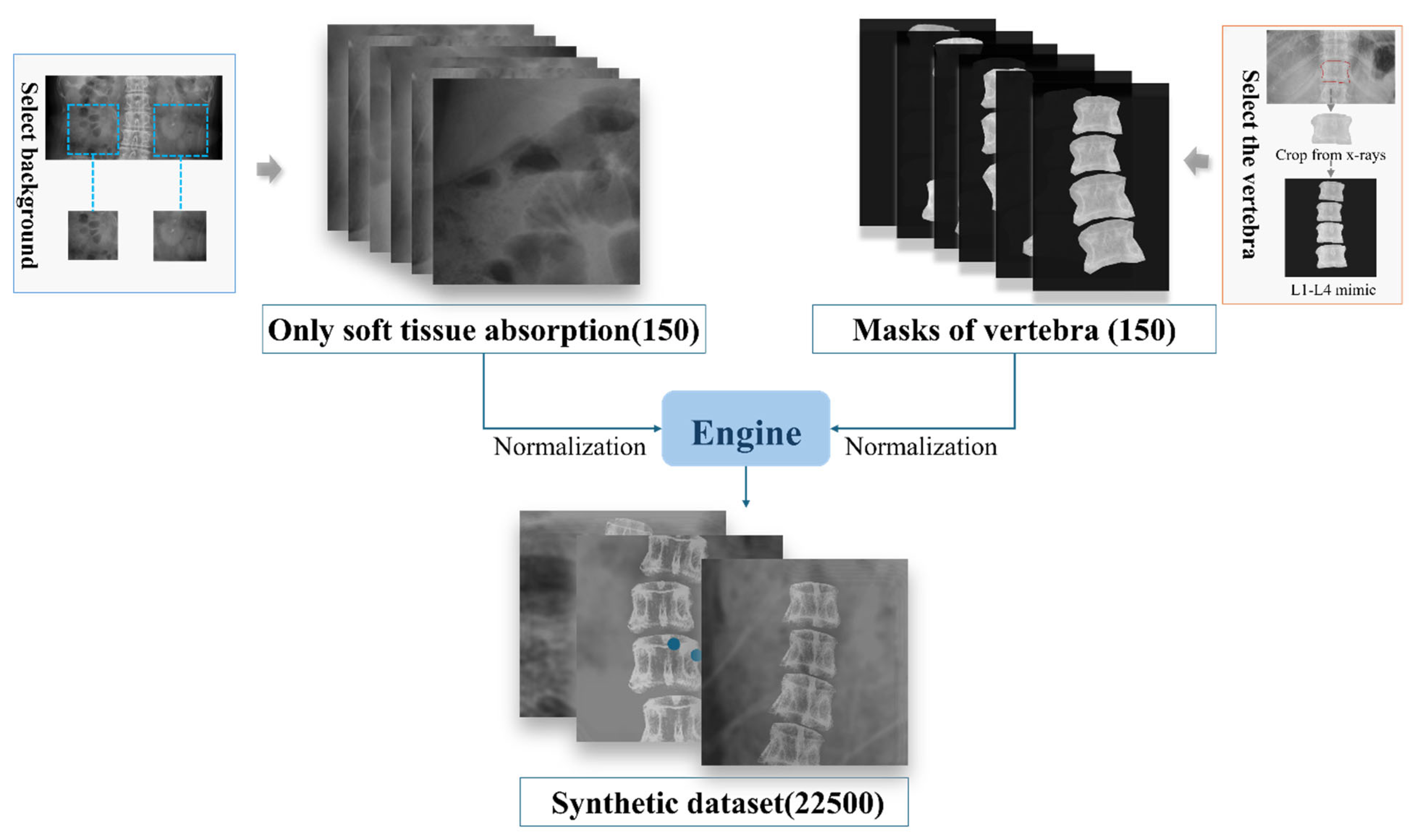 Bioengineering 12 00385 g002