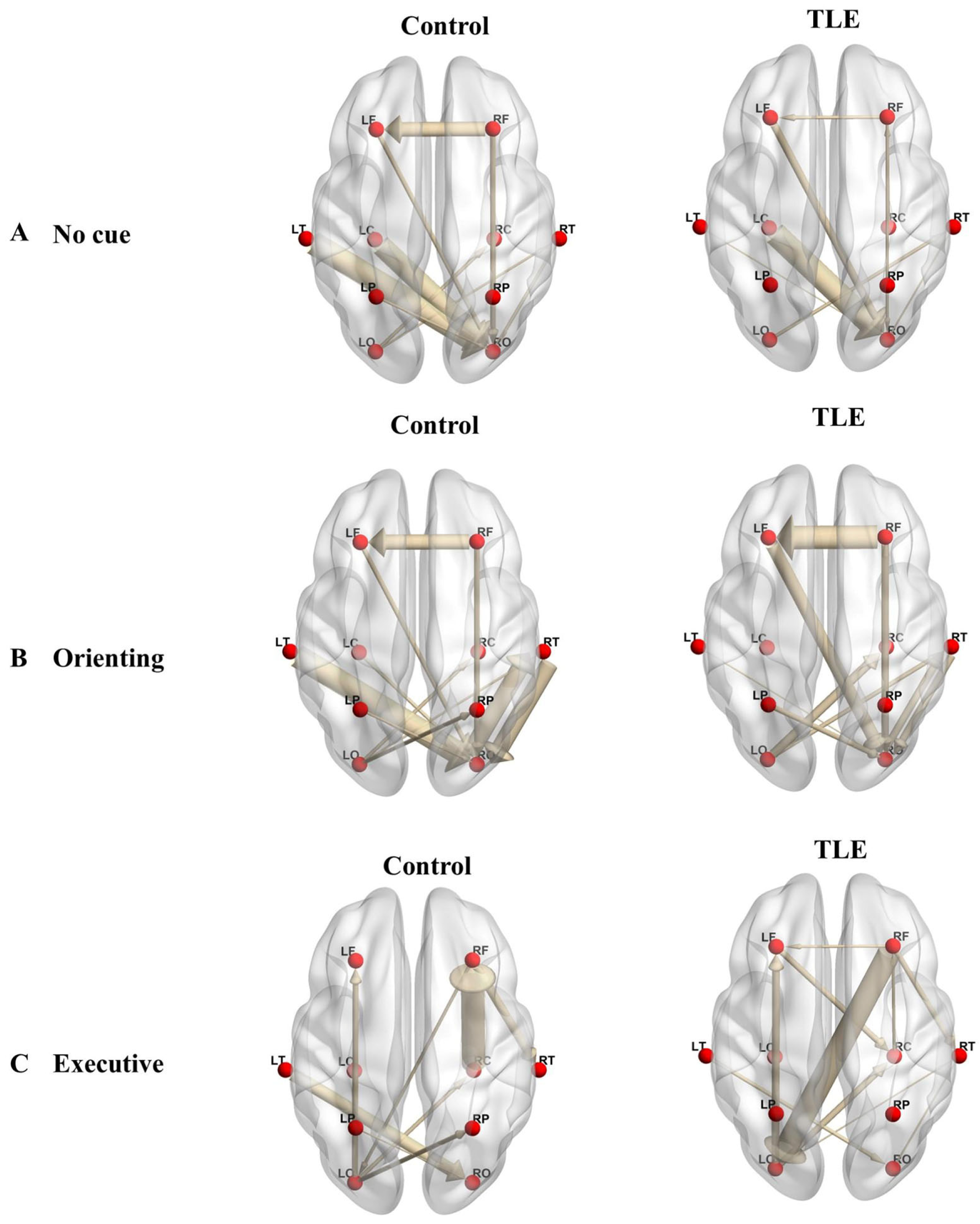 Bioengineering 12 00387 g004