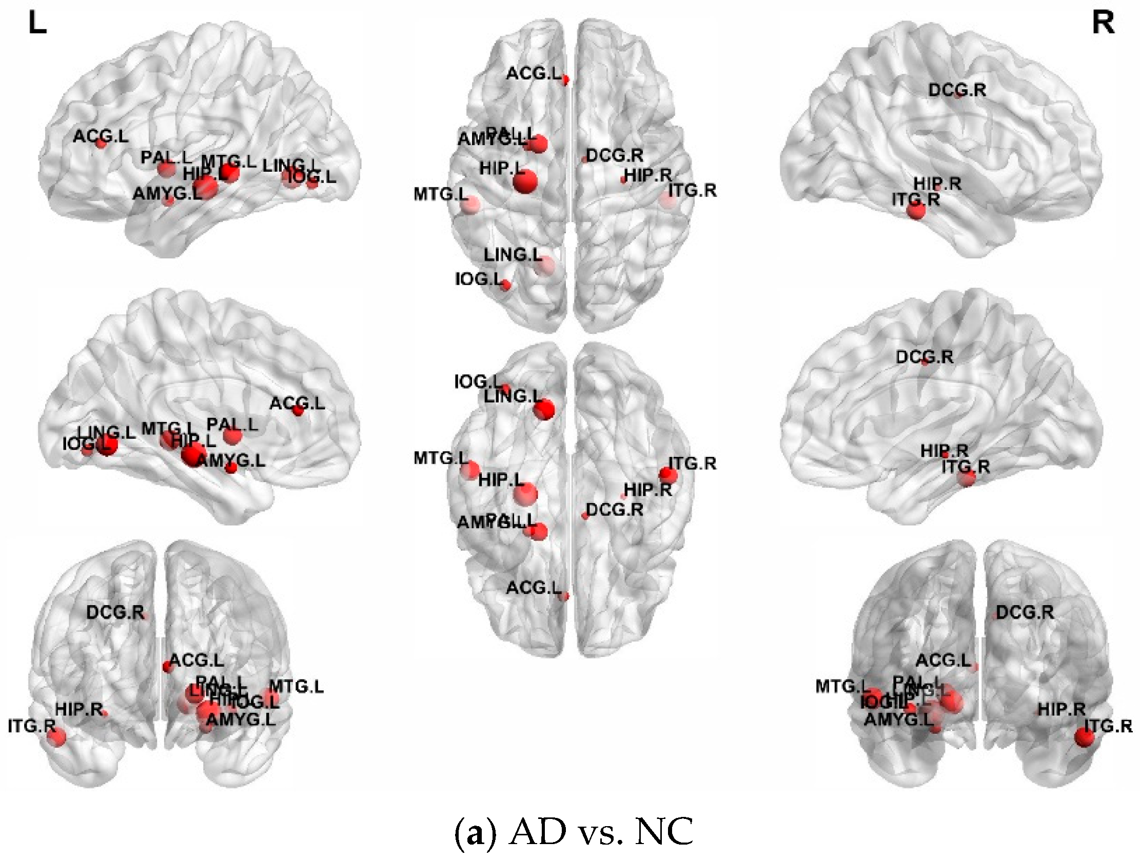 Bioengineering 12 00388 g006a