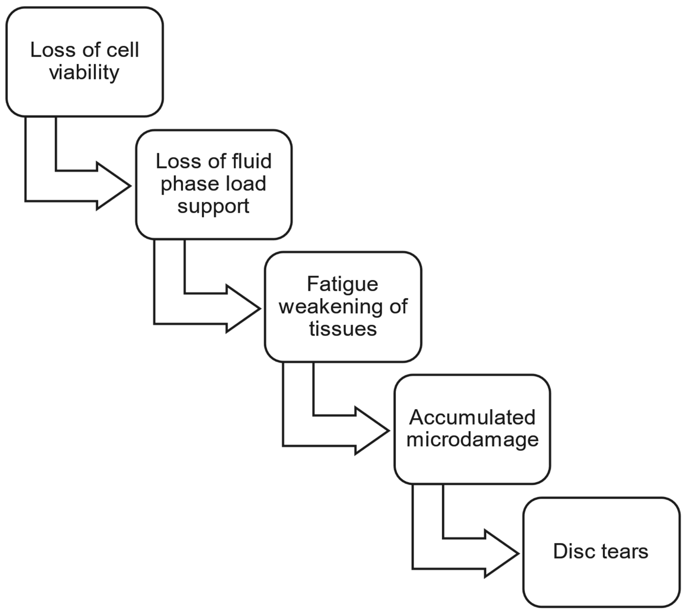 Bioengineering 12 00389 g001