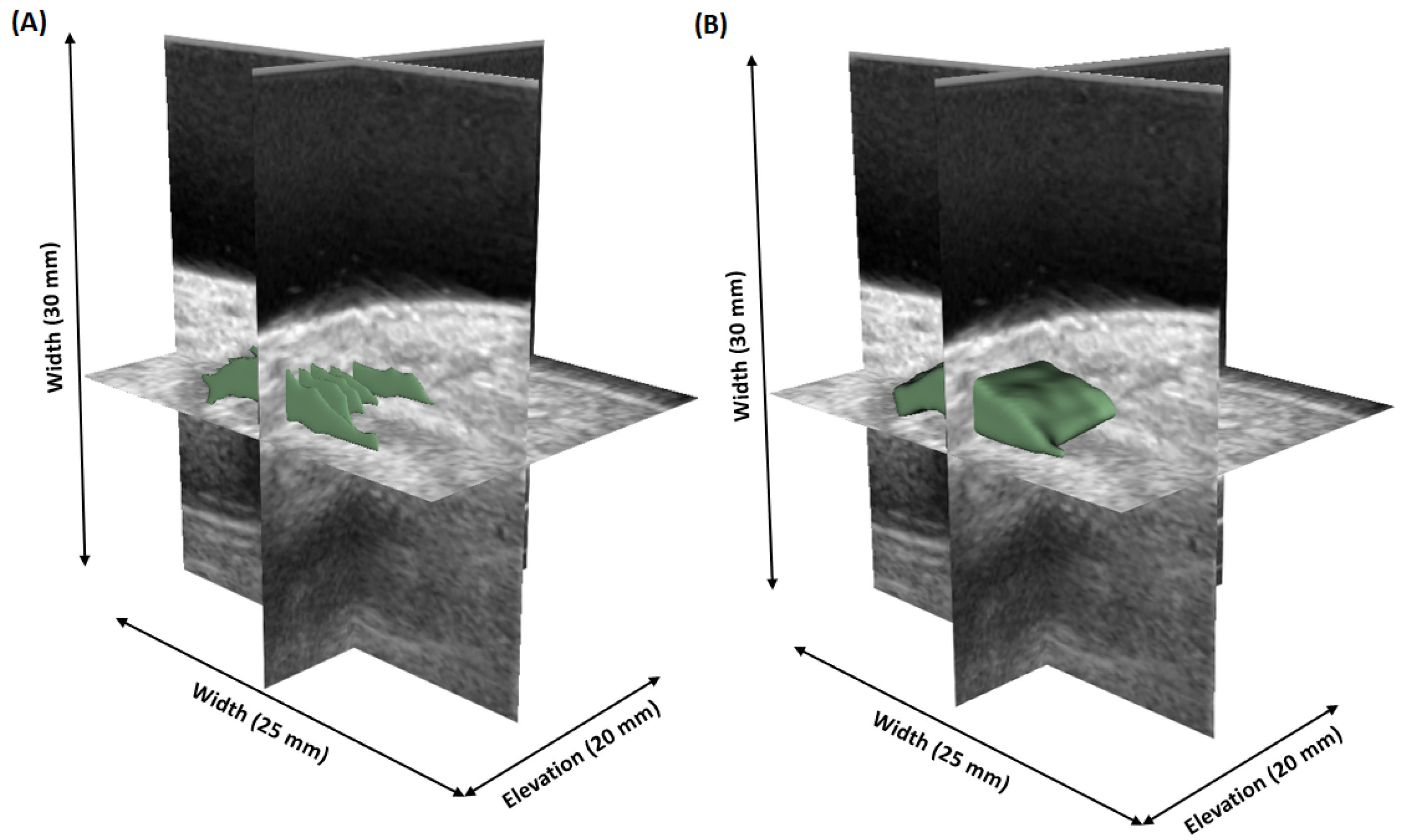Bioengineering 12 00390 g002