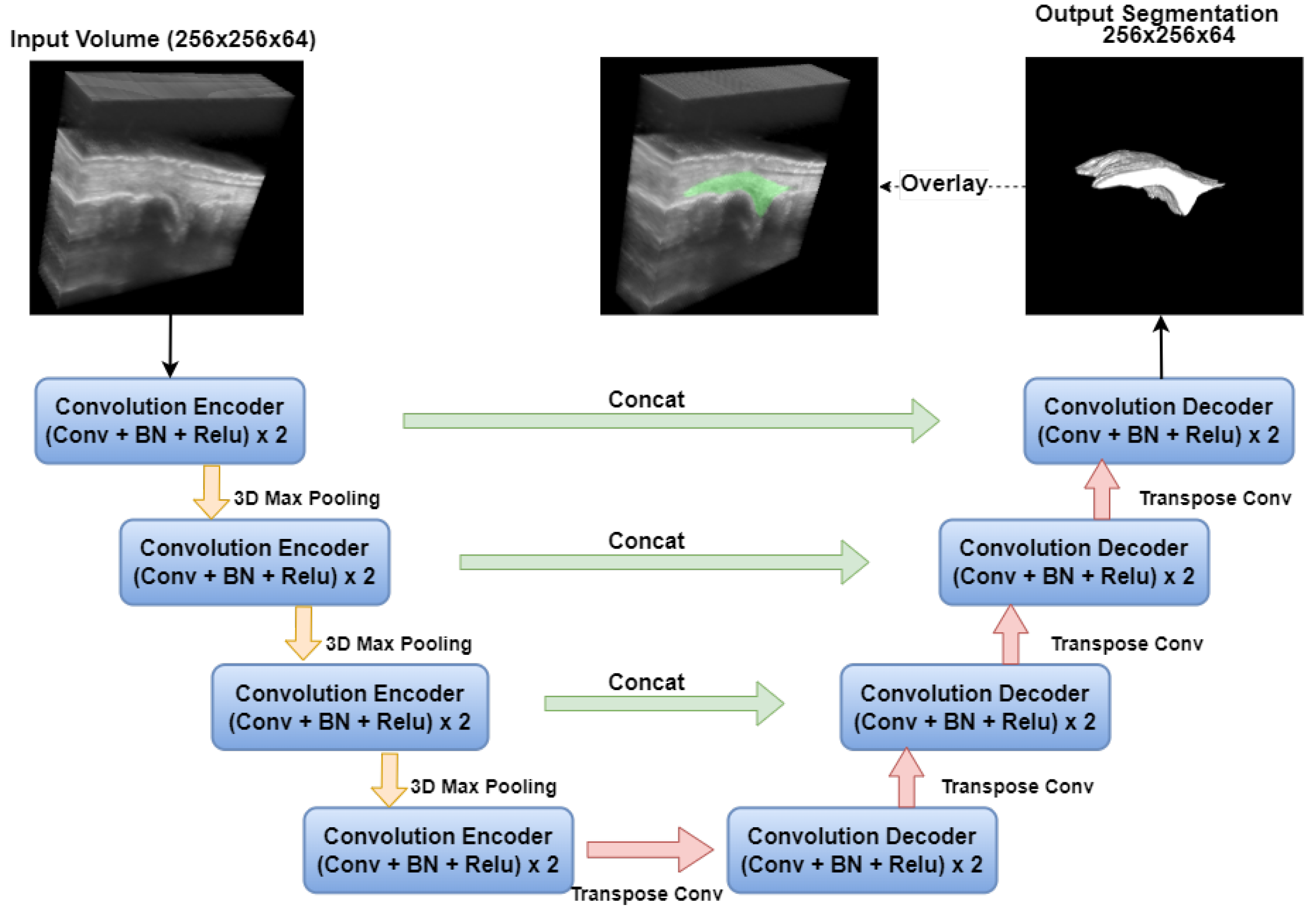 Bioengineering 12 00390 g003