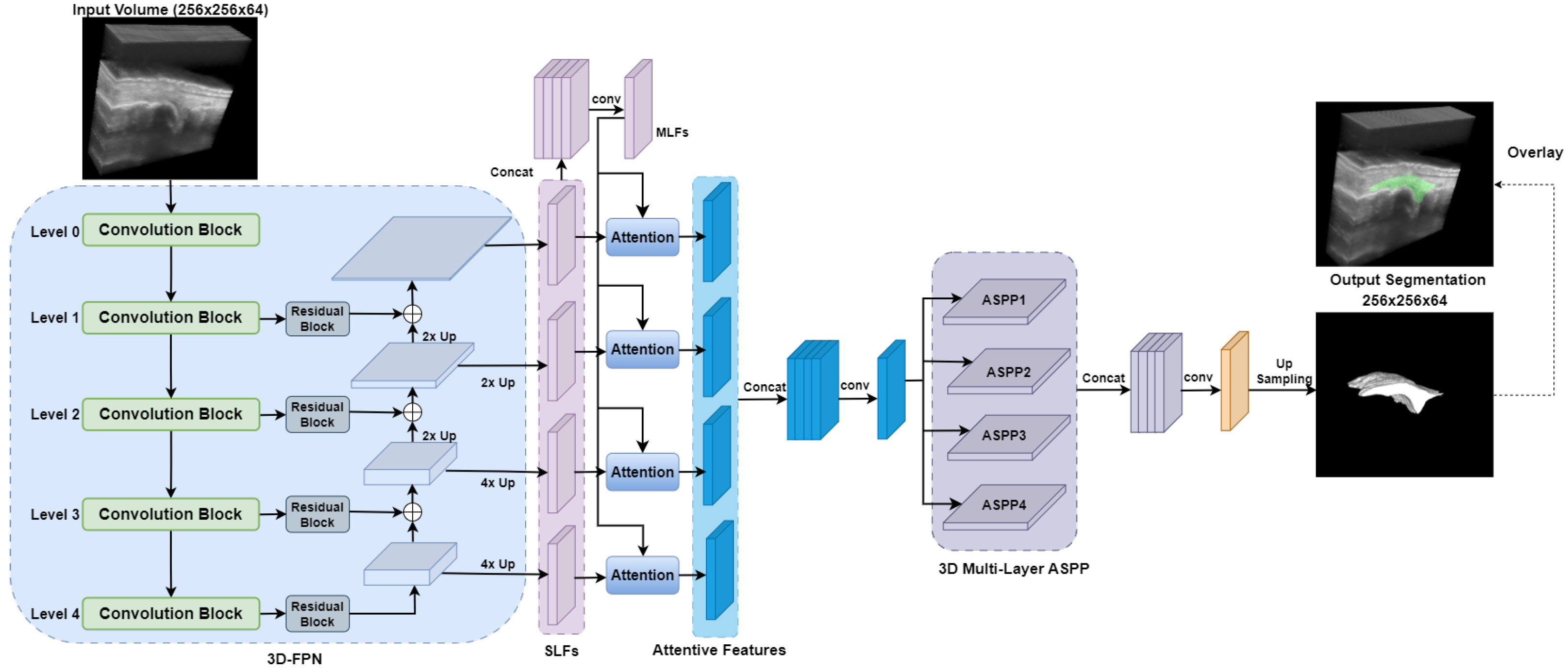 Bioengineering 12 00390 g004
