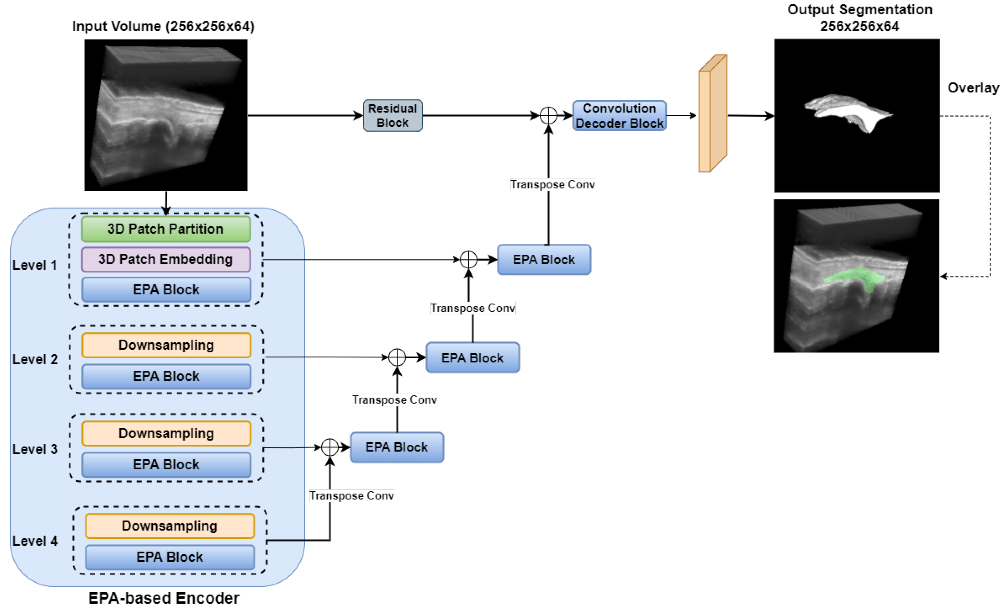 Bioengineering 12 00390 g006