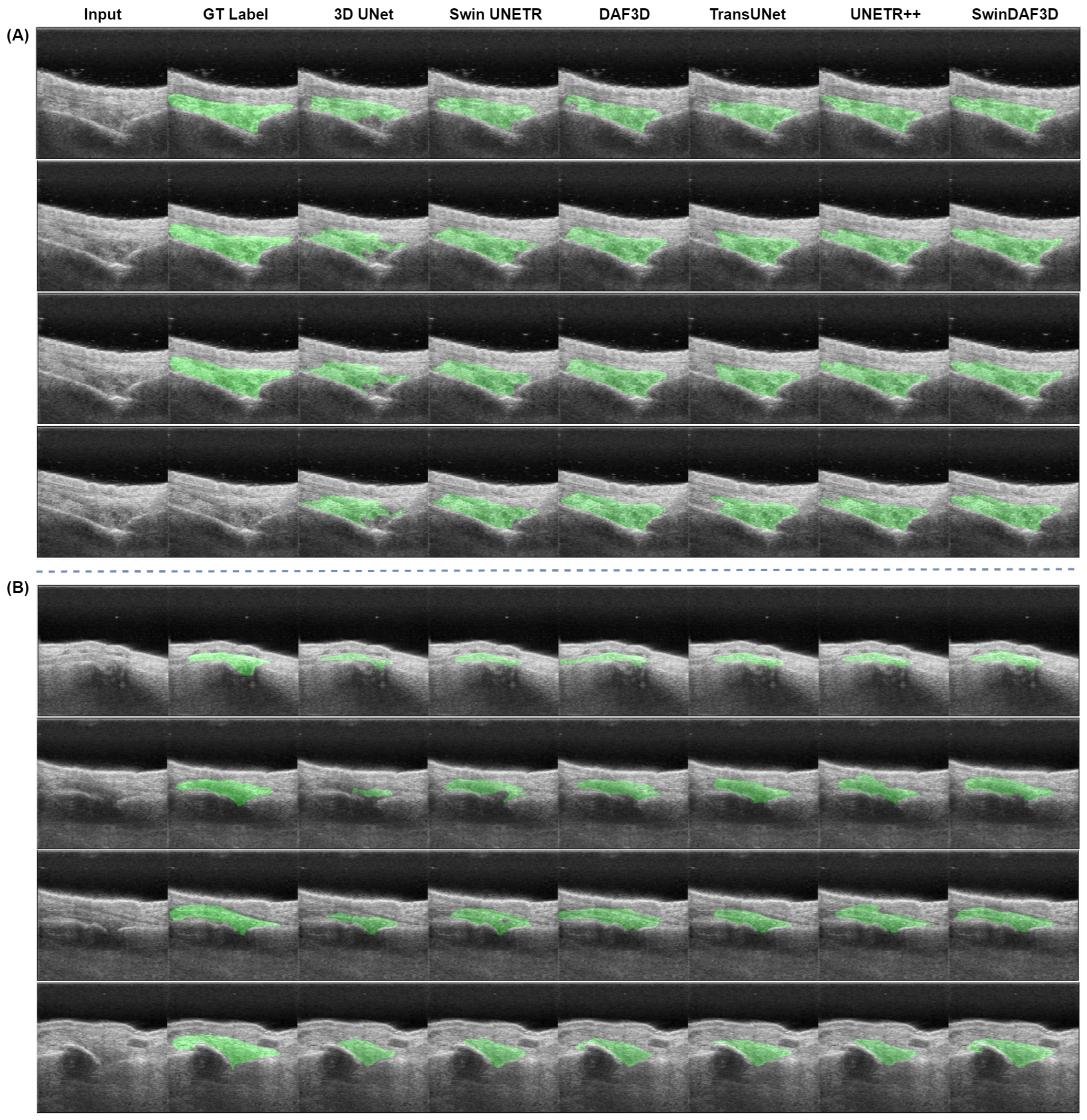Bioengineering 12 00390 g011