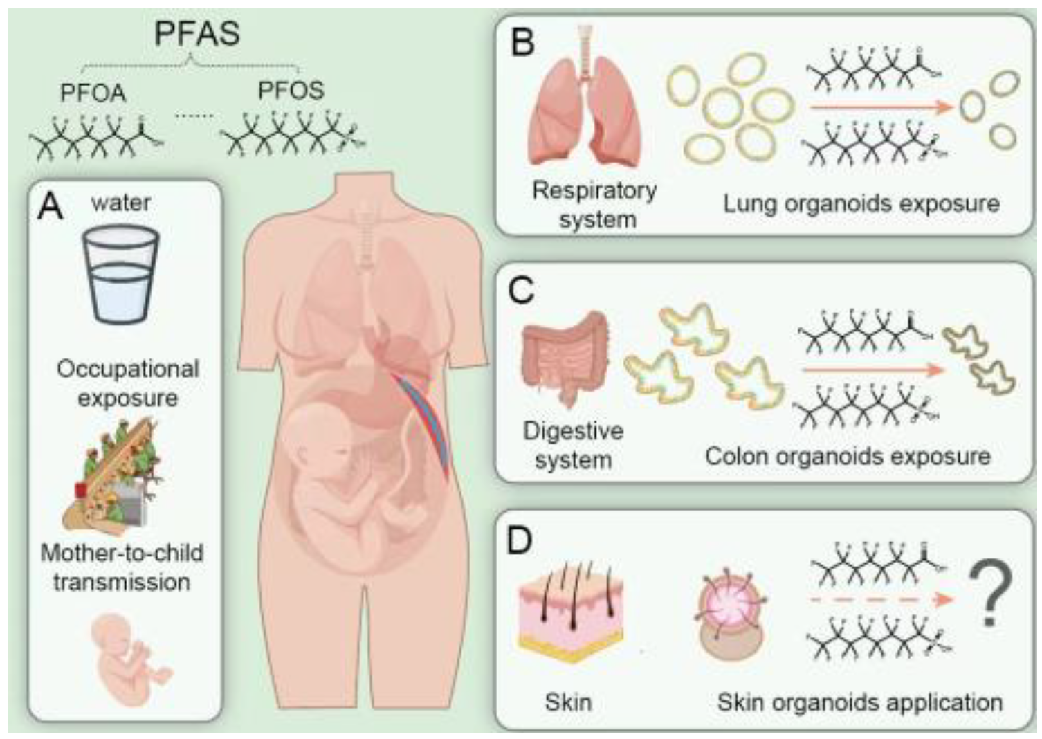 Bioengineering 12 00393 g001
