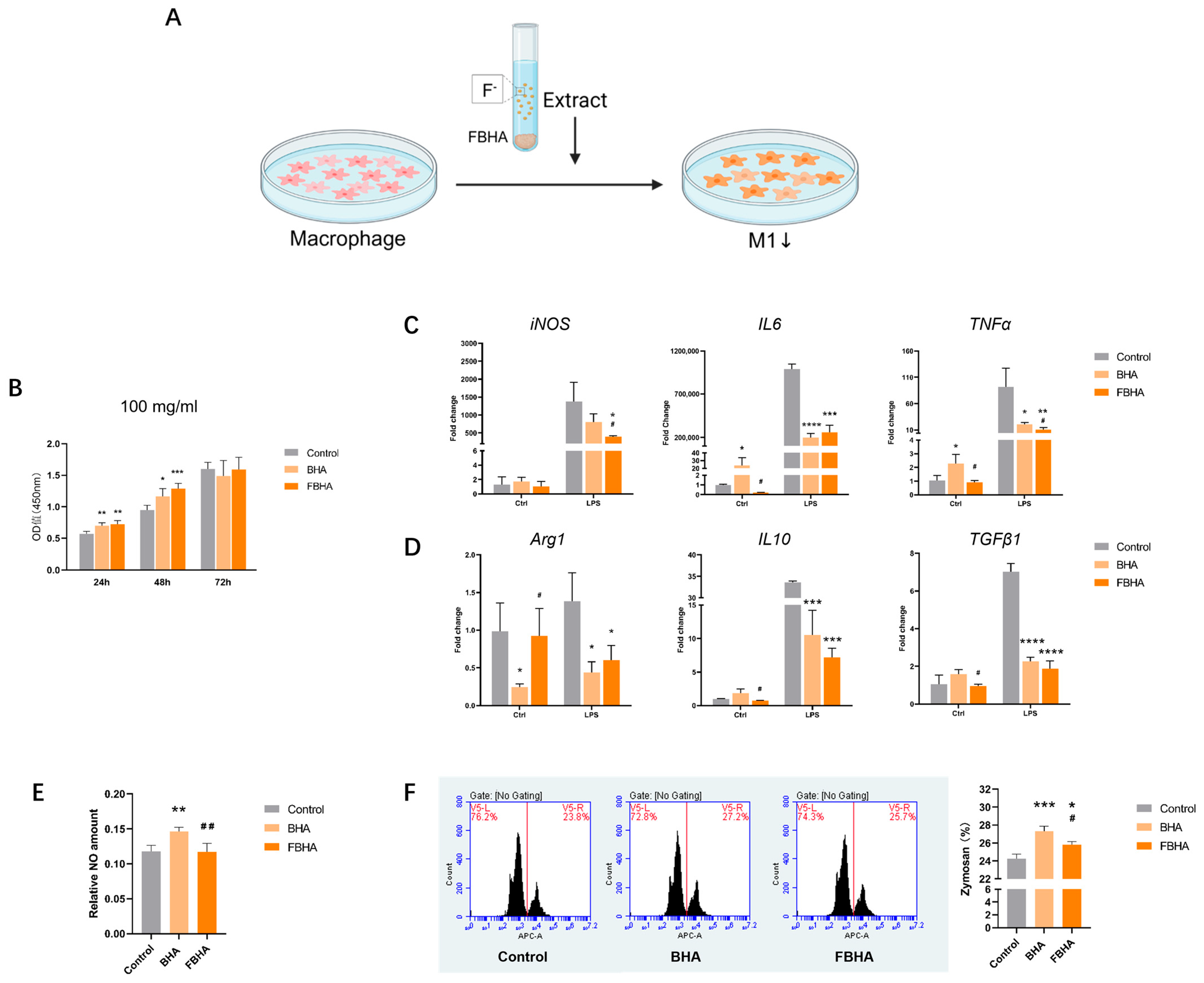 Bioengineering 12 00396 g002